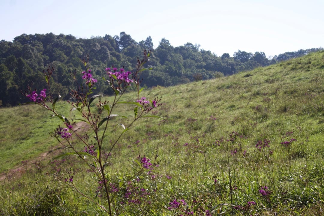 Heritage Hollow Tract 3 photo 1