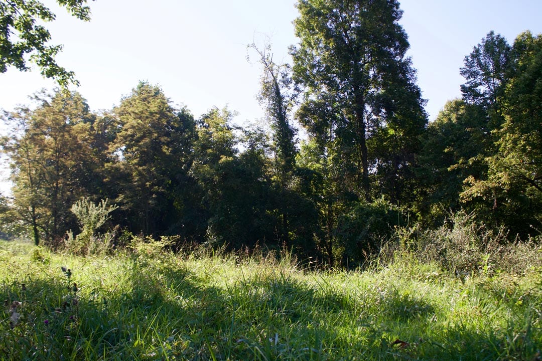 Heritage Hollow Tract 3 photo 2