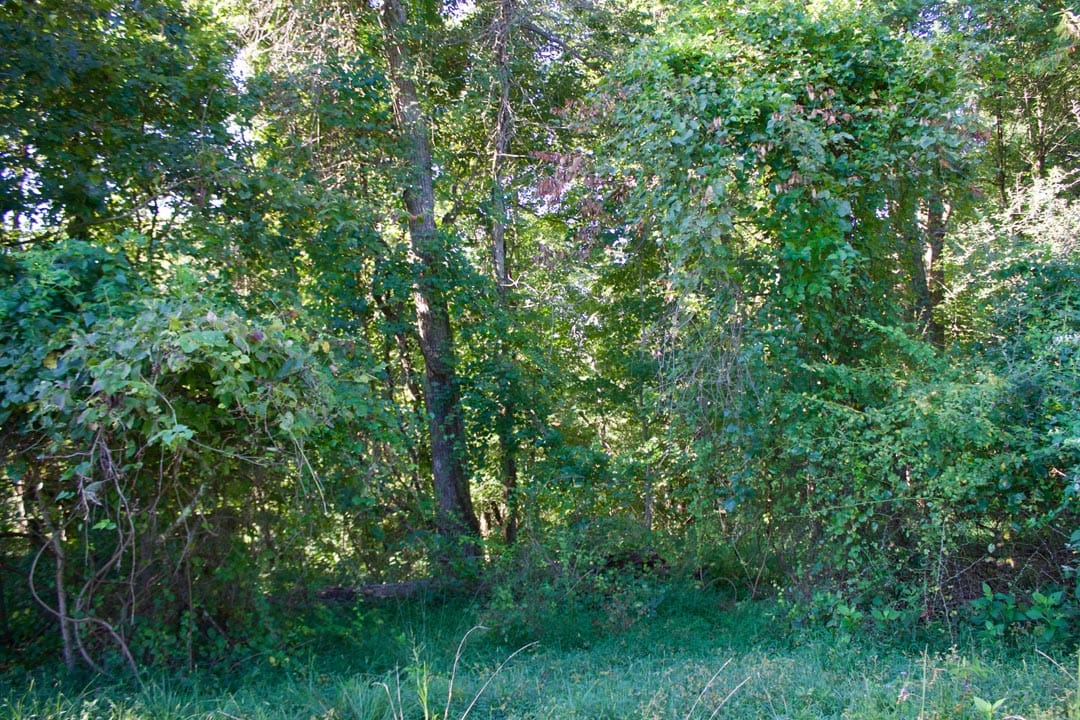 Heritage Hollow Tract 3 photo 3