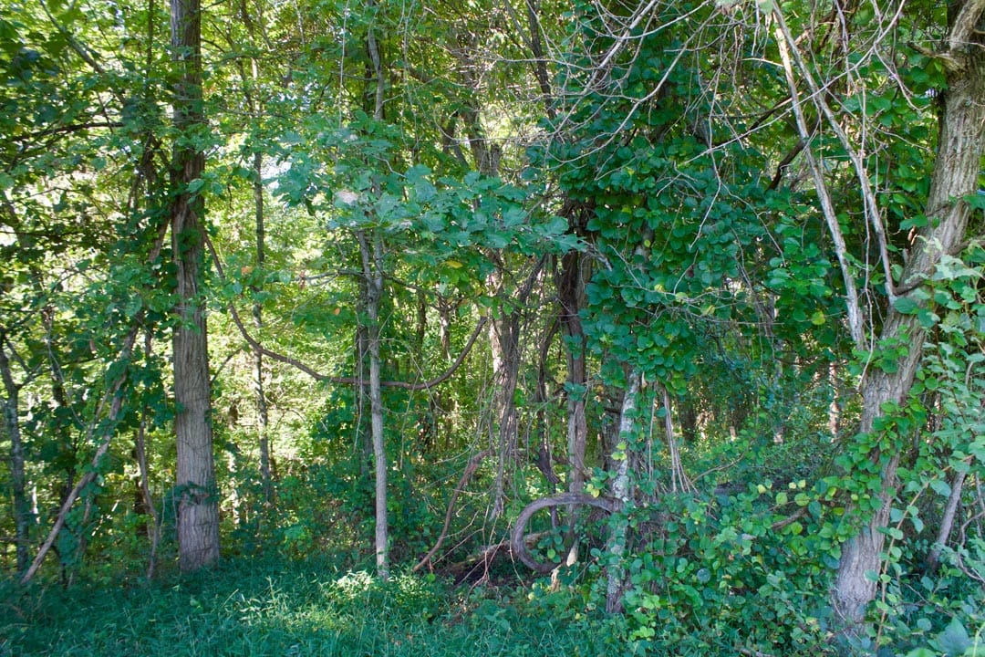 Heritage Hollow Tract 3 photo 5