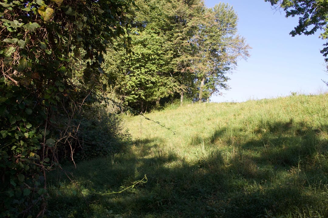 Heritage Hollow Tract 3 photo 6