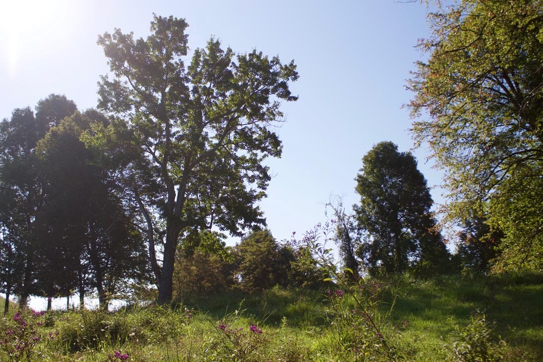 Heritage Hollow Tract 3 photo 9