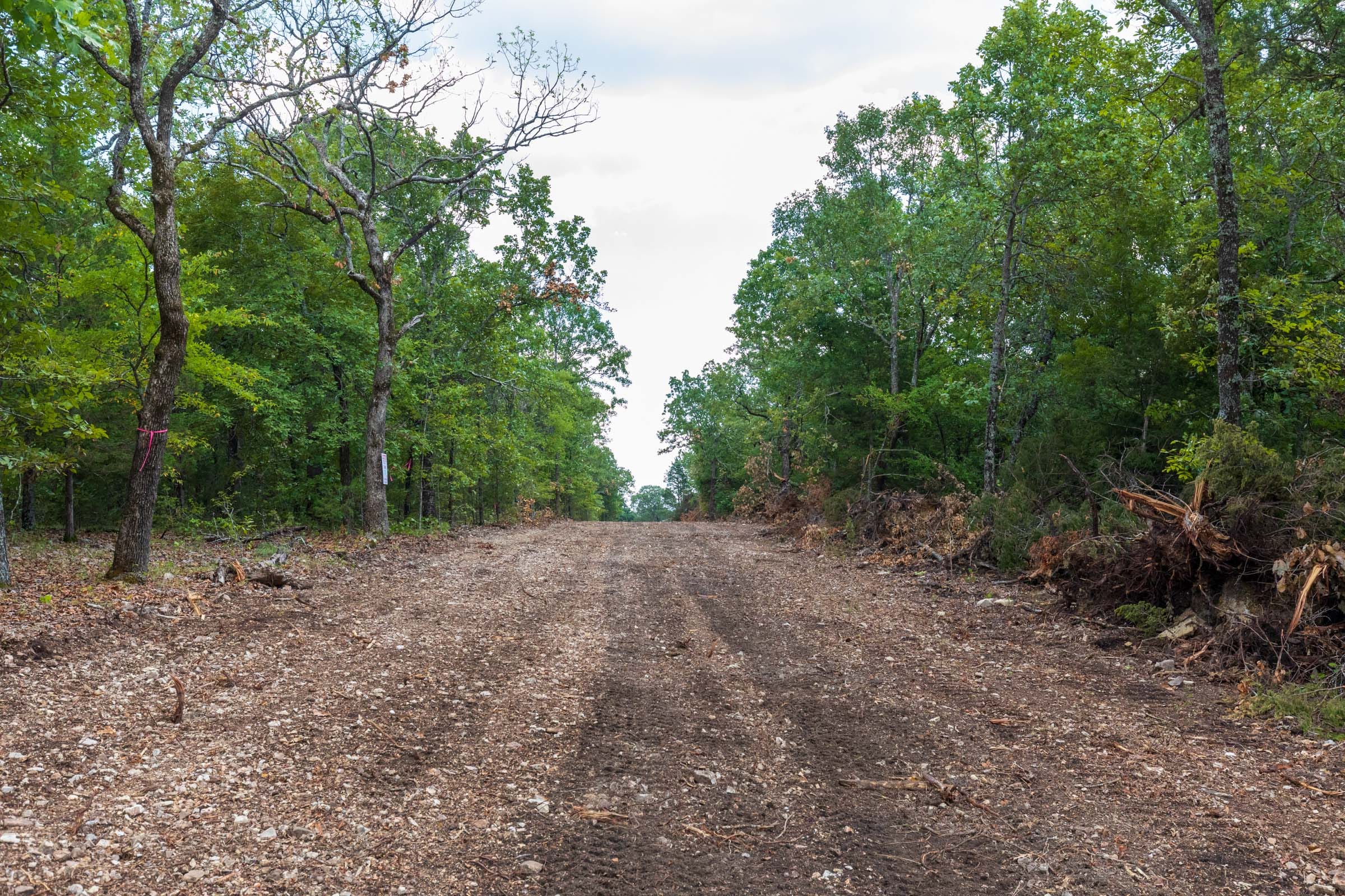 Heritage Bend Tract 12 photo 1