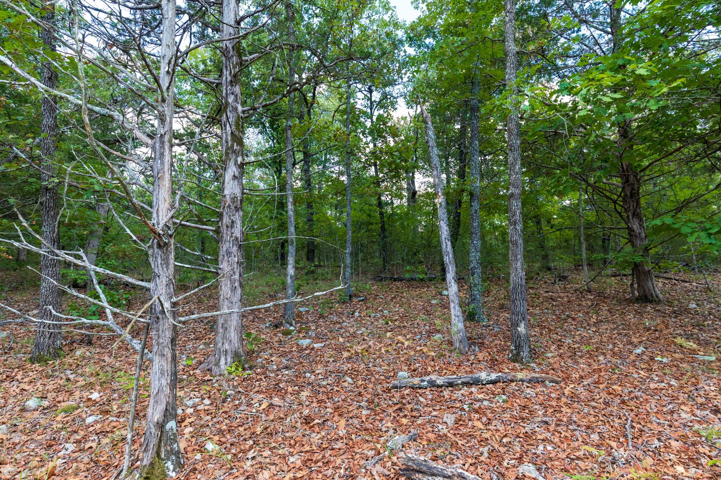 Heritage Bend Tract 12 photo 2