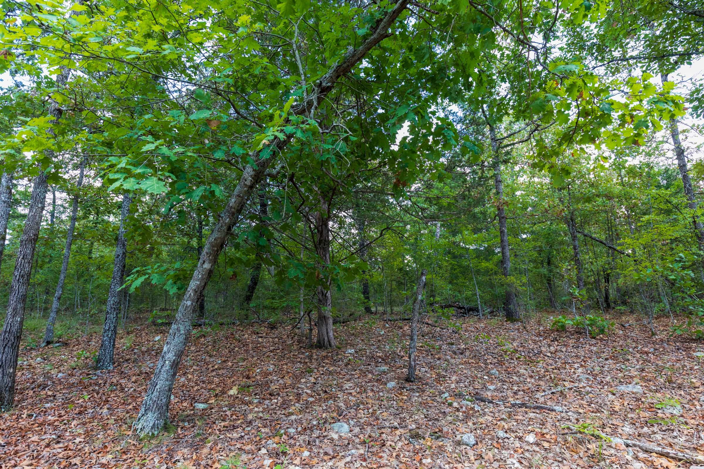 Heritage Bend Tract 12 photo 3