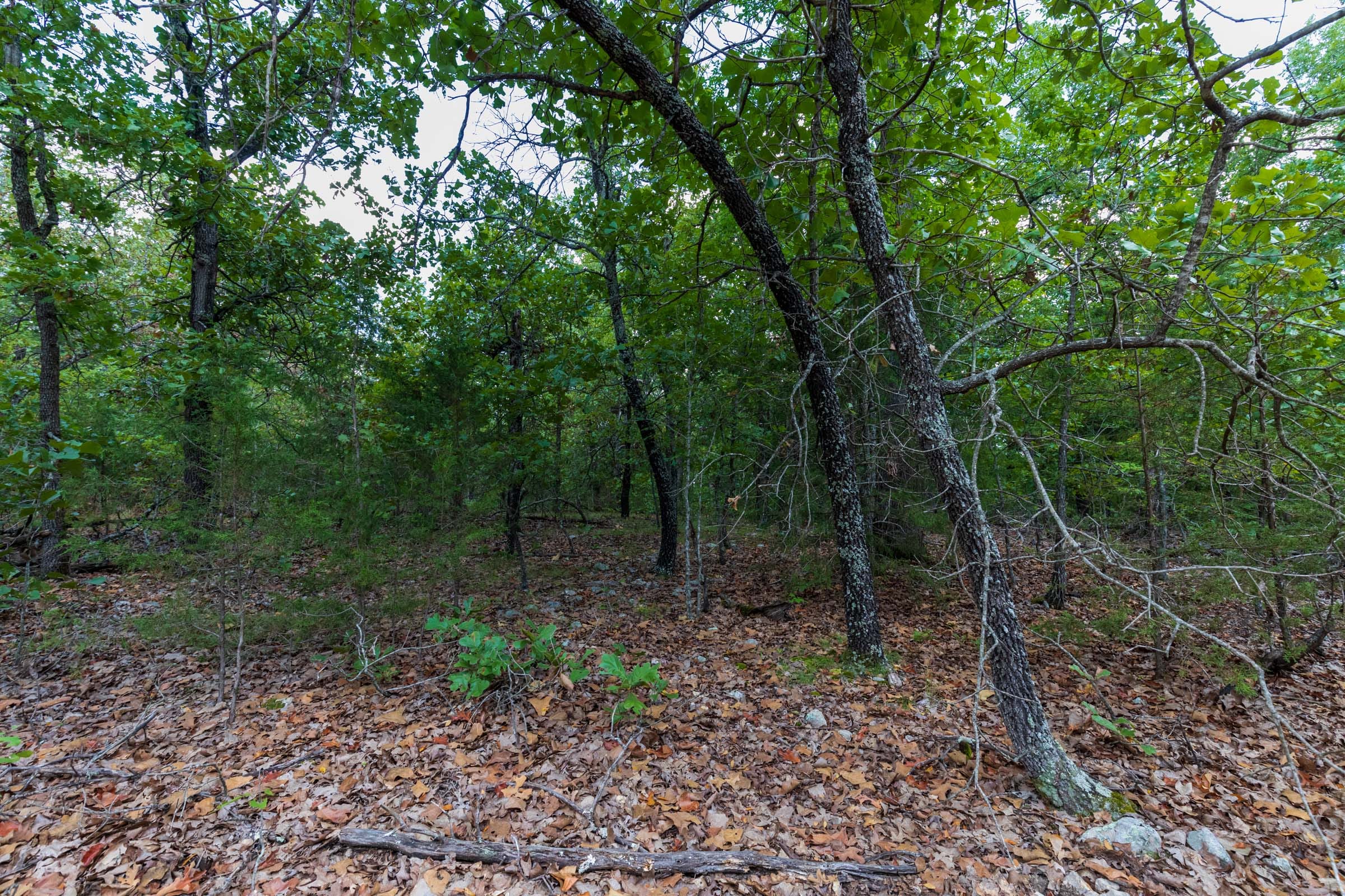 Heritage Bend Tract 12 photo 4