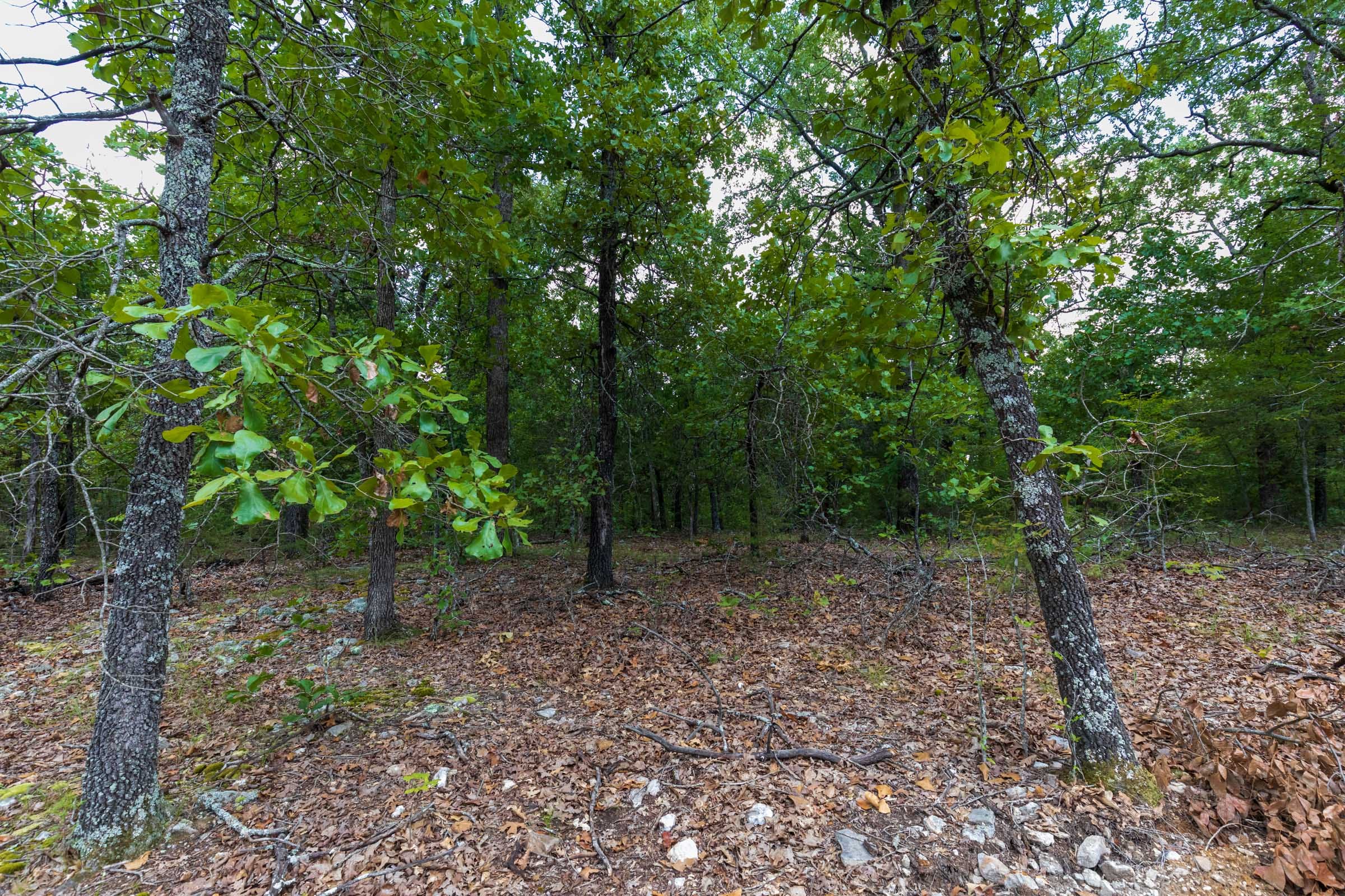 Heritage Bend Tract 12 photo 6