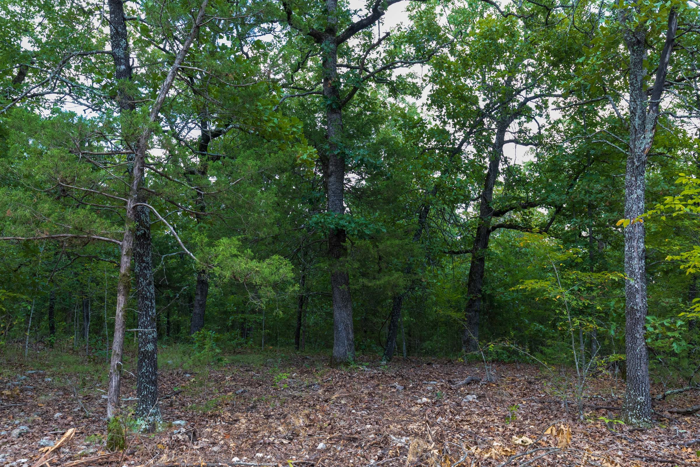 Heritage Bend Tract 12 photo 7