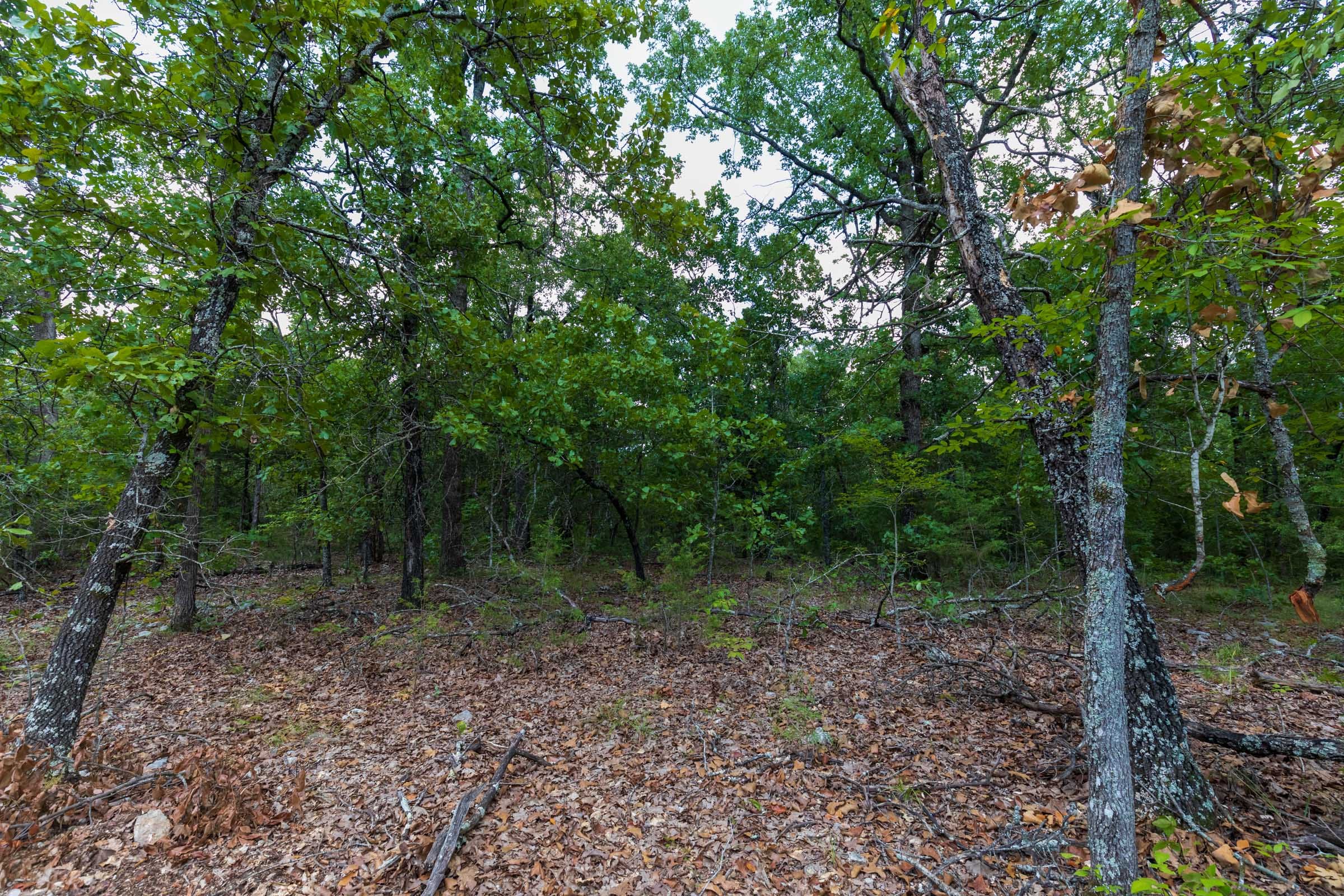 Heritage Bend Tract 12 photo 8