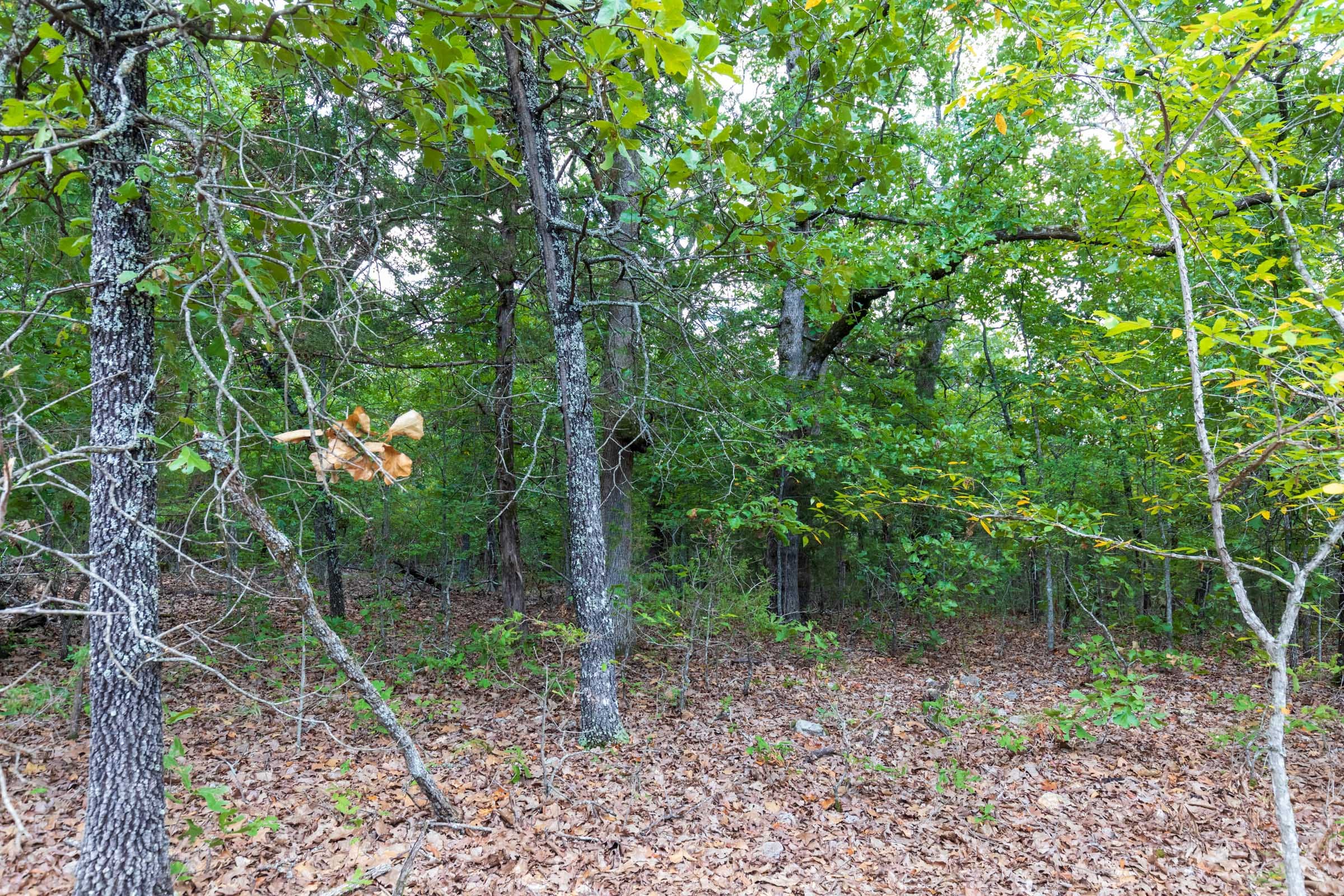 Heritage Bend Tract 12 photo 10