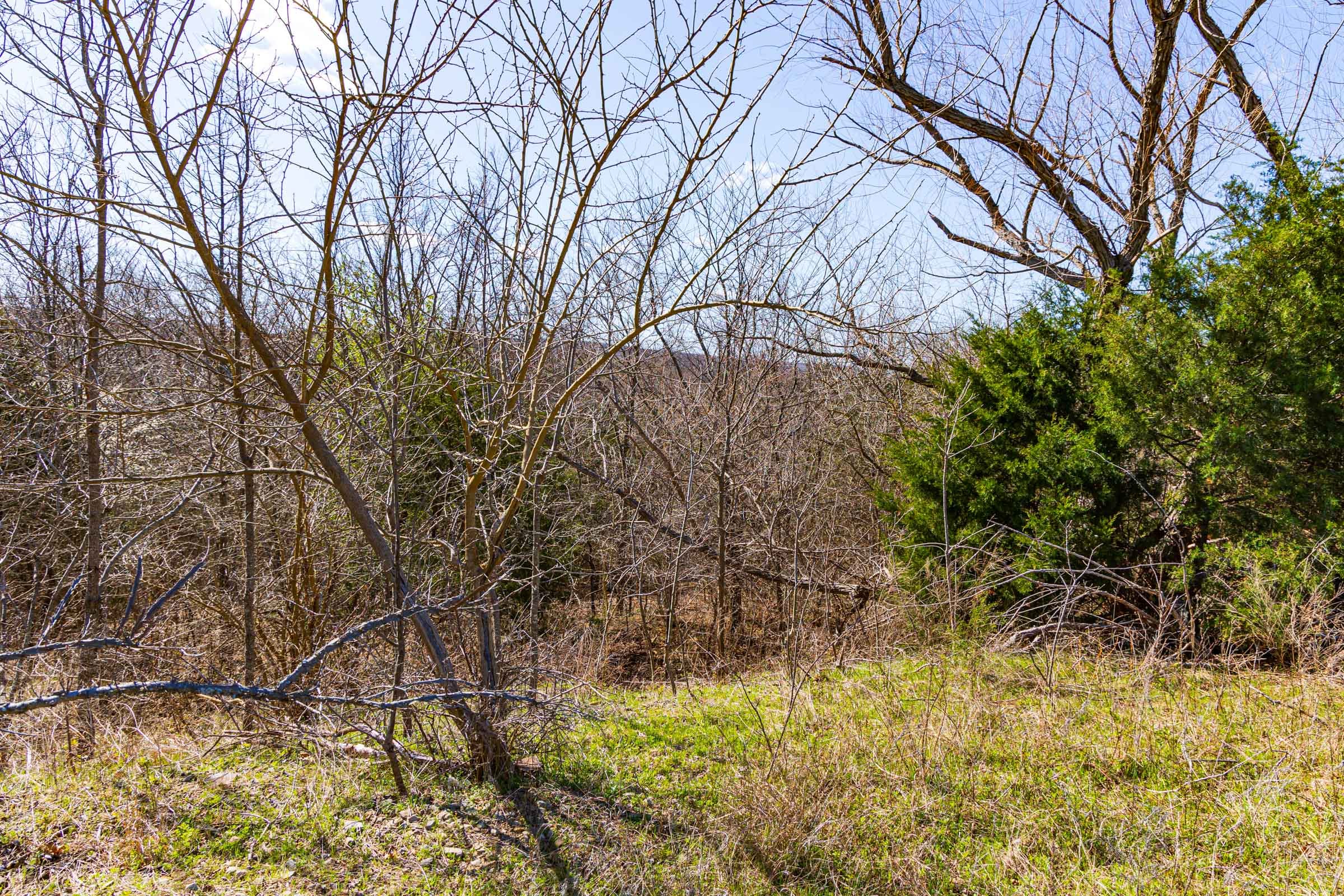 Reserves At Cattail Cove Phase I Tract 33 photo 5