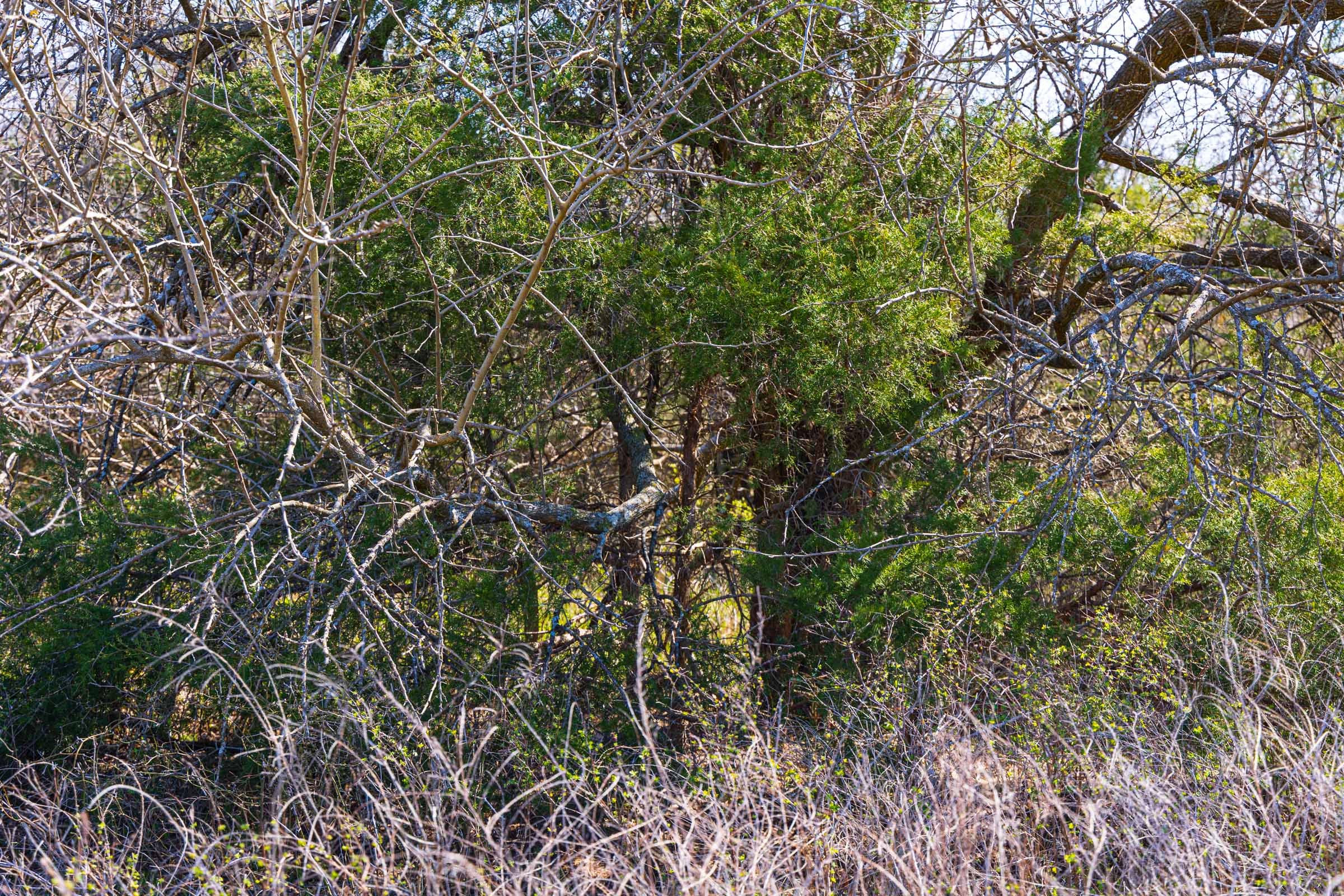 Reserves At Cattail Cove Phase I Tract 33 photo 10