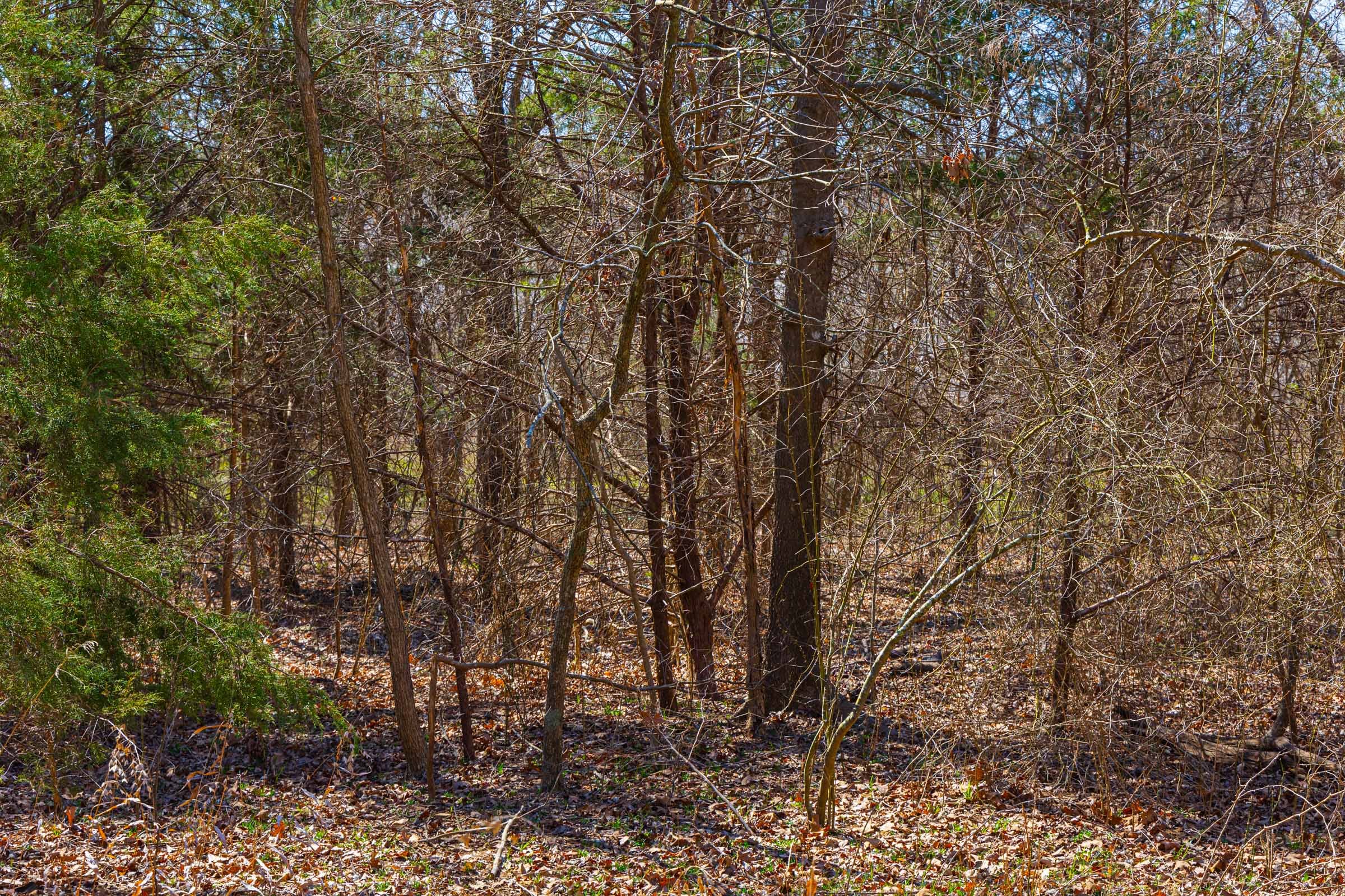 Reserves At Cattail Cove Phase I Tract 33 photo 9