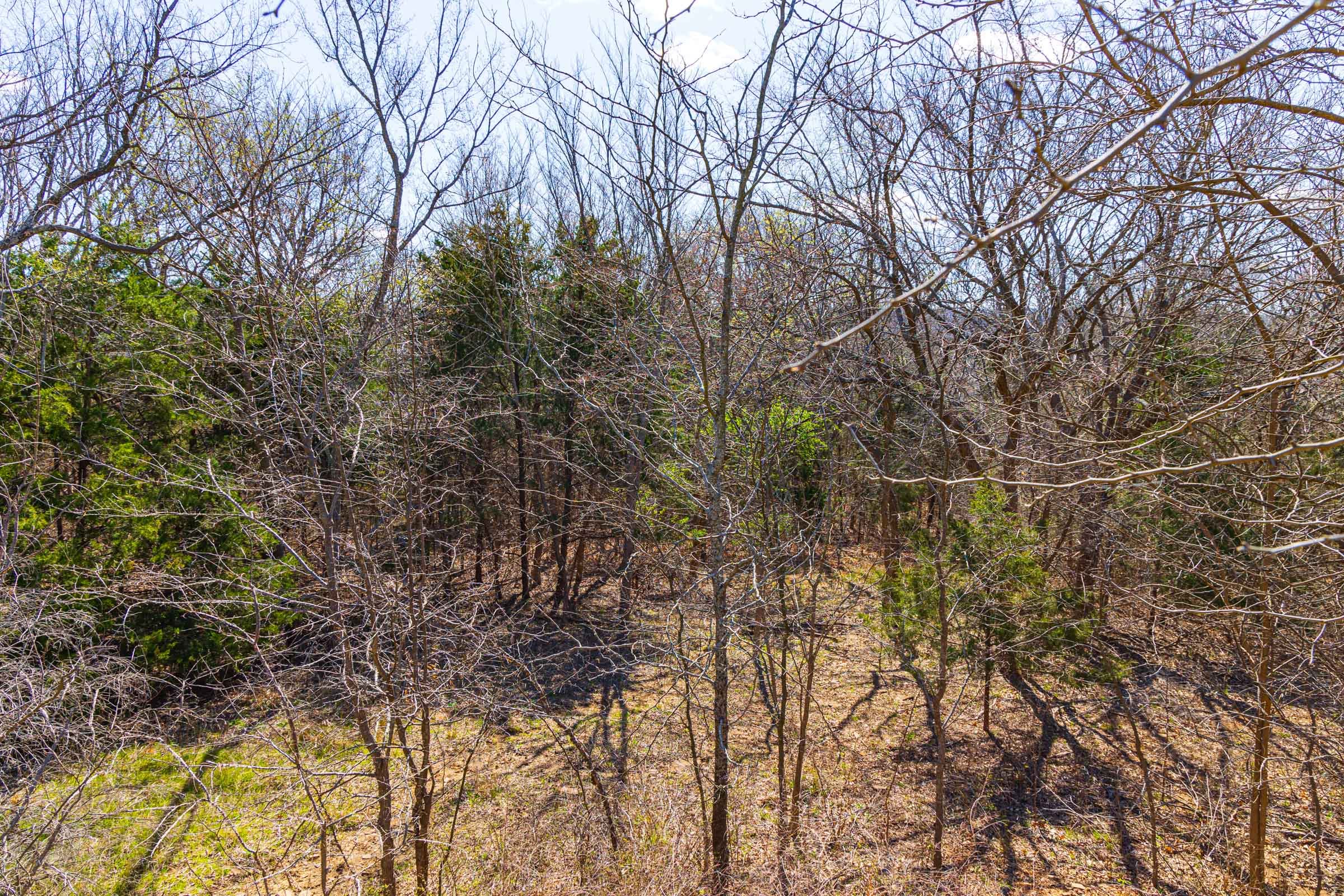 Reserves At Cattail Cove Phase I Tract 33 photo 8