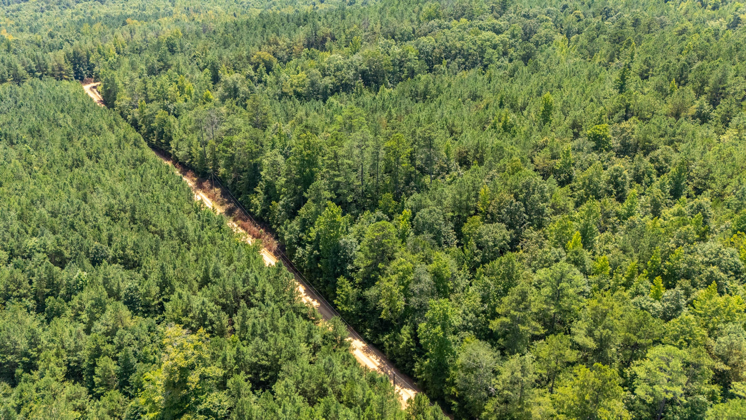 Olive Hill Tract 1 photo 2