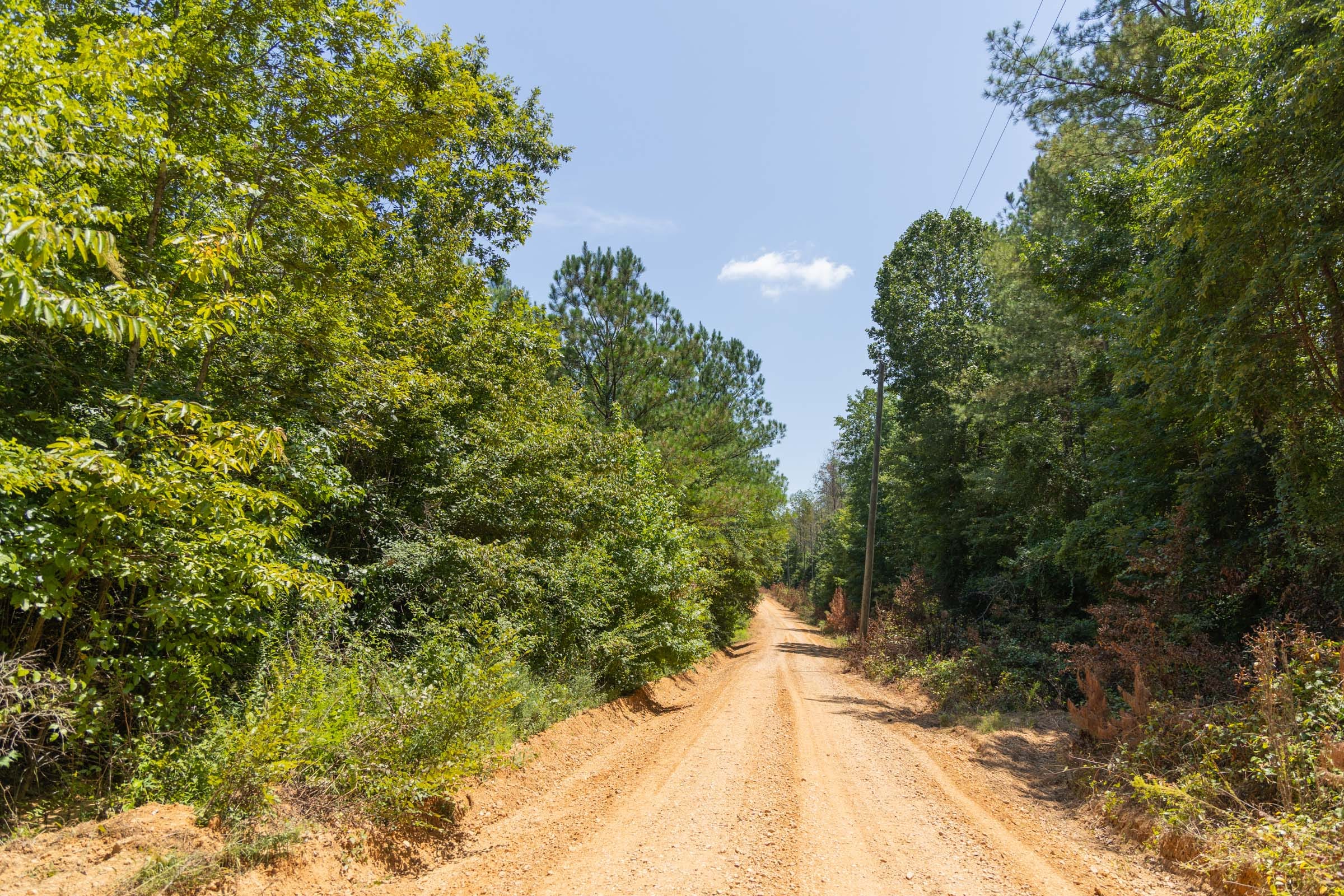 Olive Hill Tract 1 photo 5
