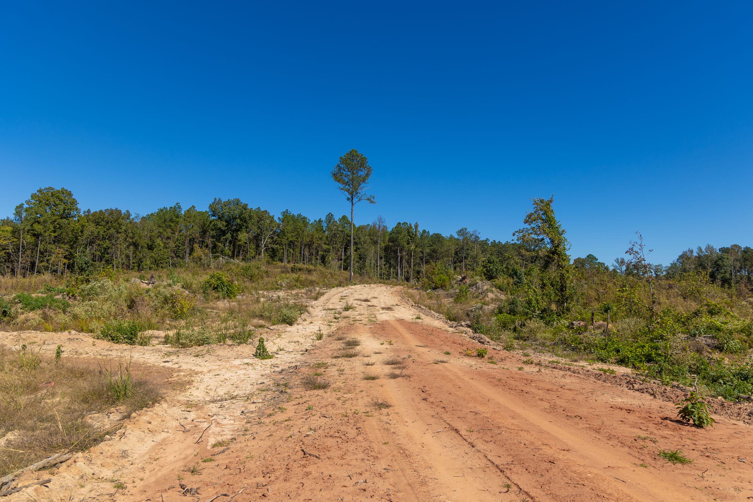 Meyer’s Ridge Tract 14 photo 13