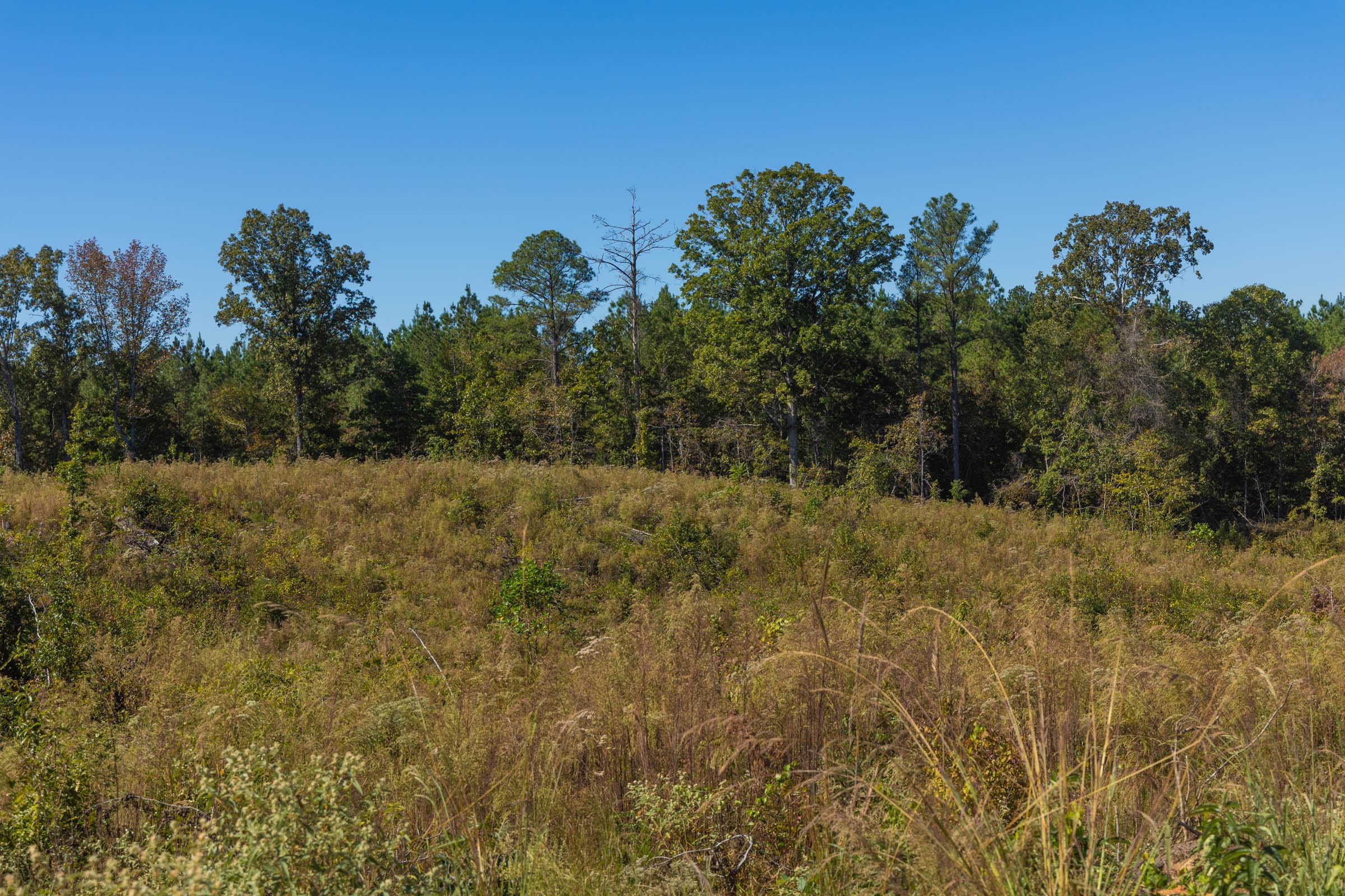 Meyer’s Ridge Tract 14 photo 12