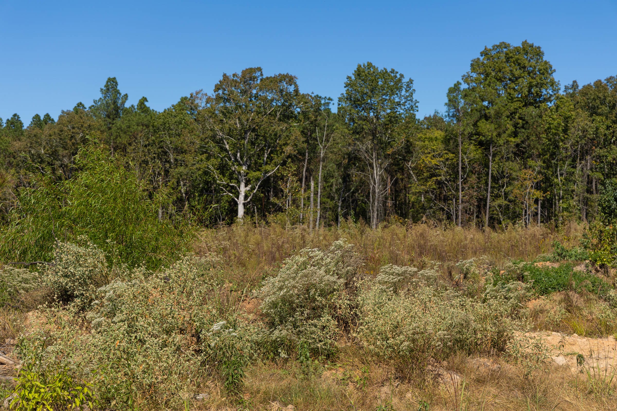 Meyer’s Ridge Tract 14 photo 10