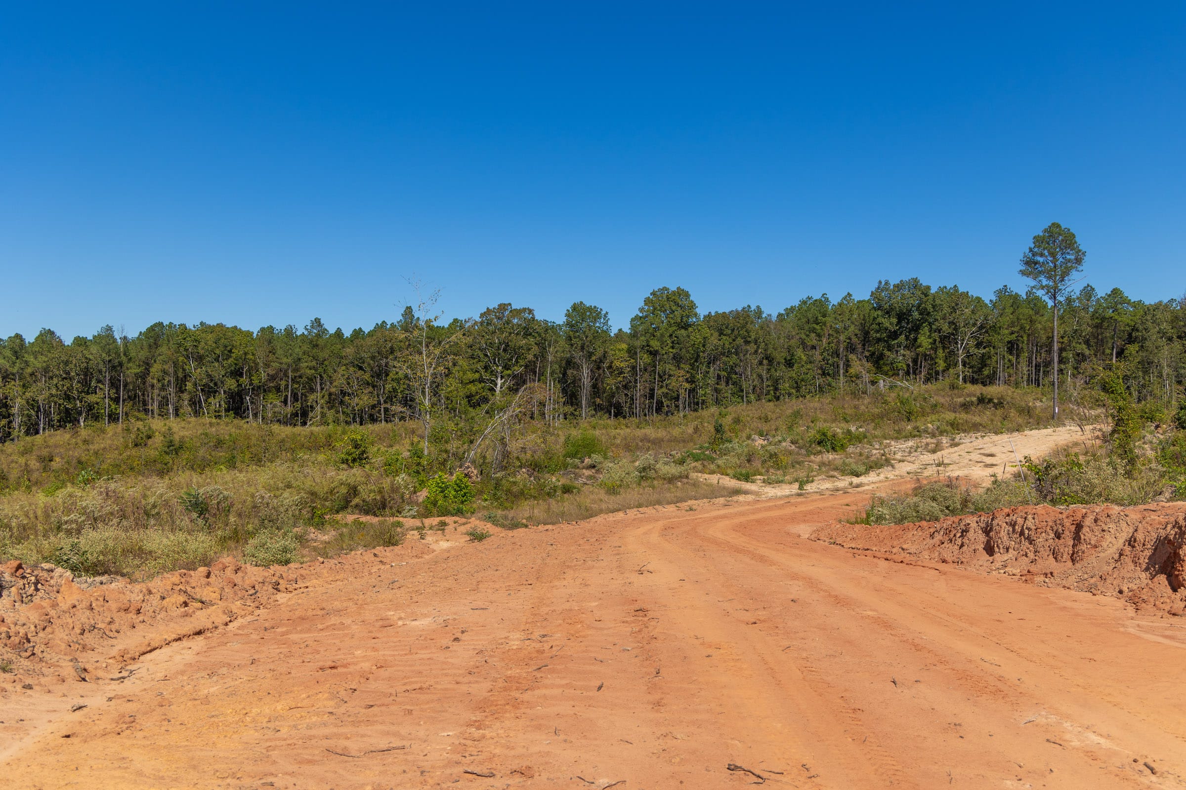 Meyer’s Ridge Tract 14 photo 8
