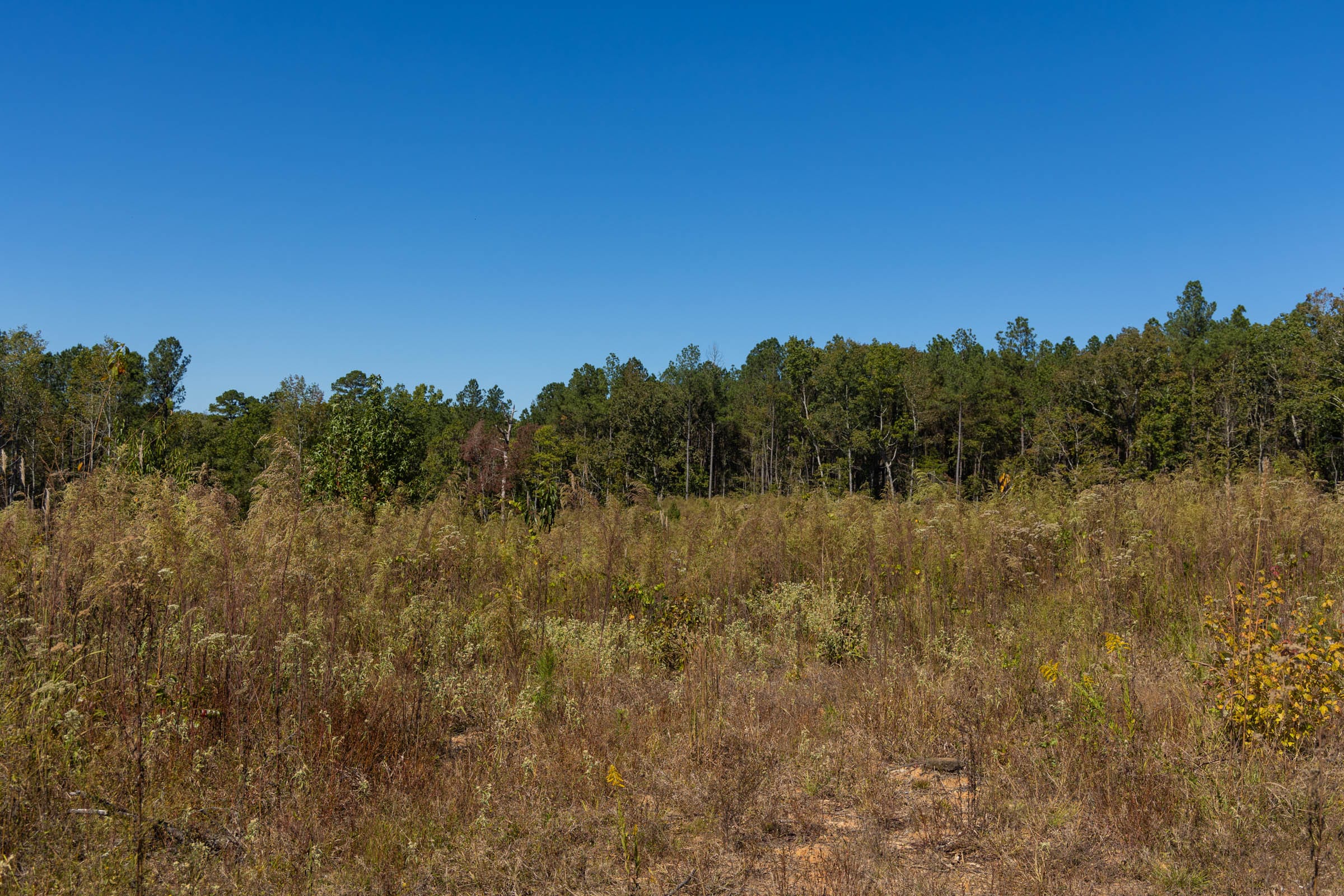 Meyer’s Ridge Tract 14 photo 6