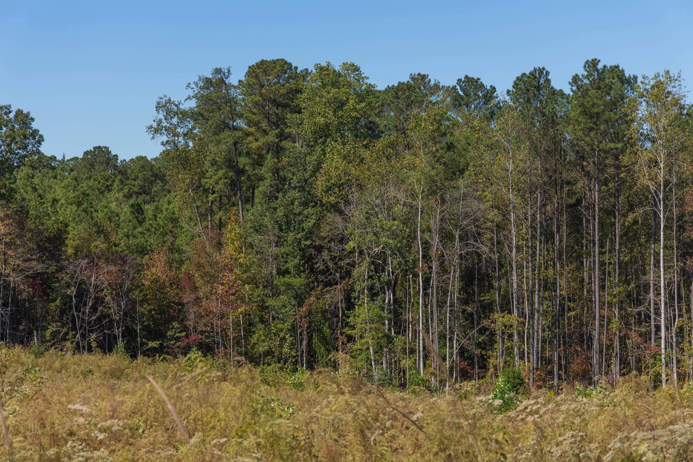 Meyer’s Ridge Tract 14 photo 4