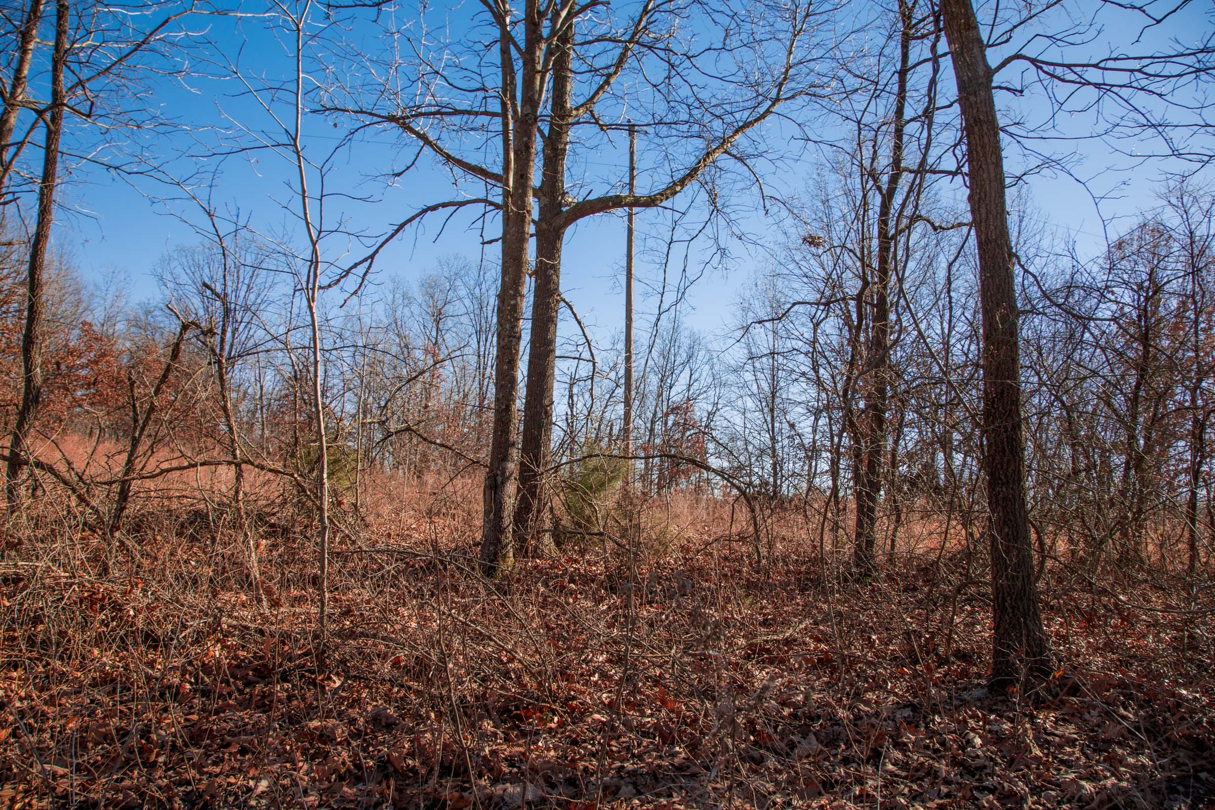Buffalo Hills Tract 9 photo 2