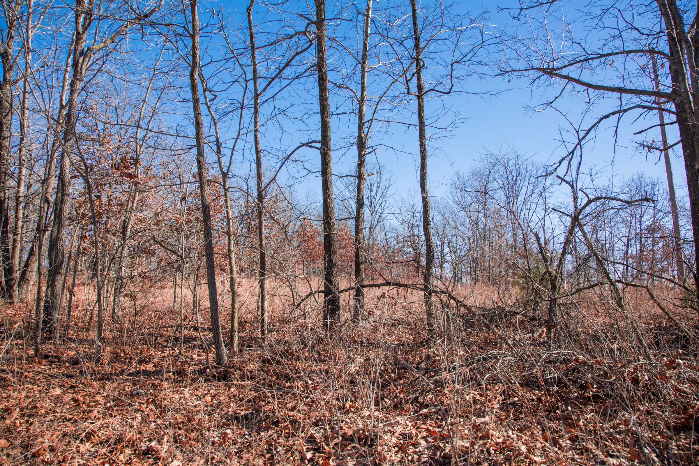 Buffalo Hills Tract 9 photo 3