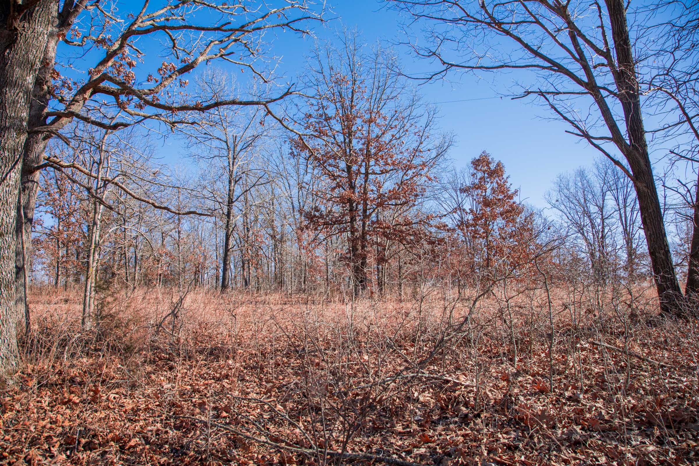 Buffalo Hills Tract 9 photo 4
