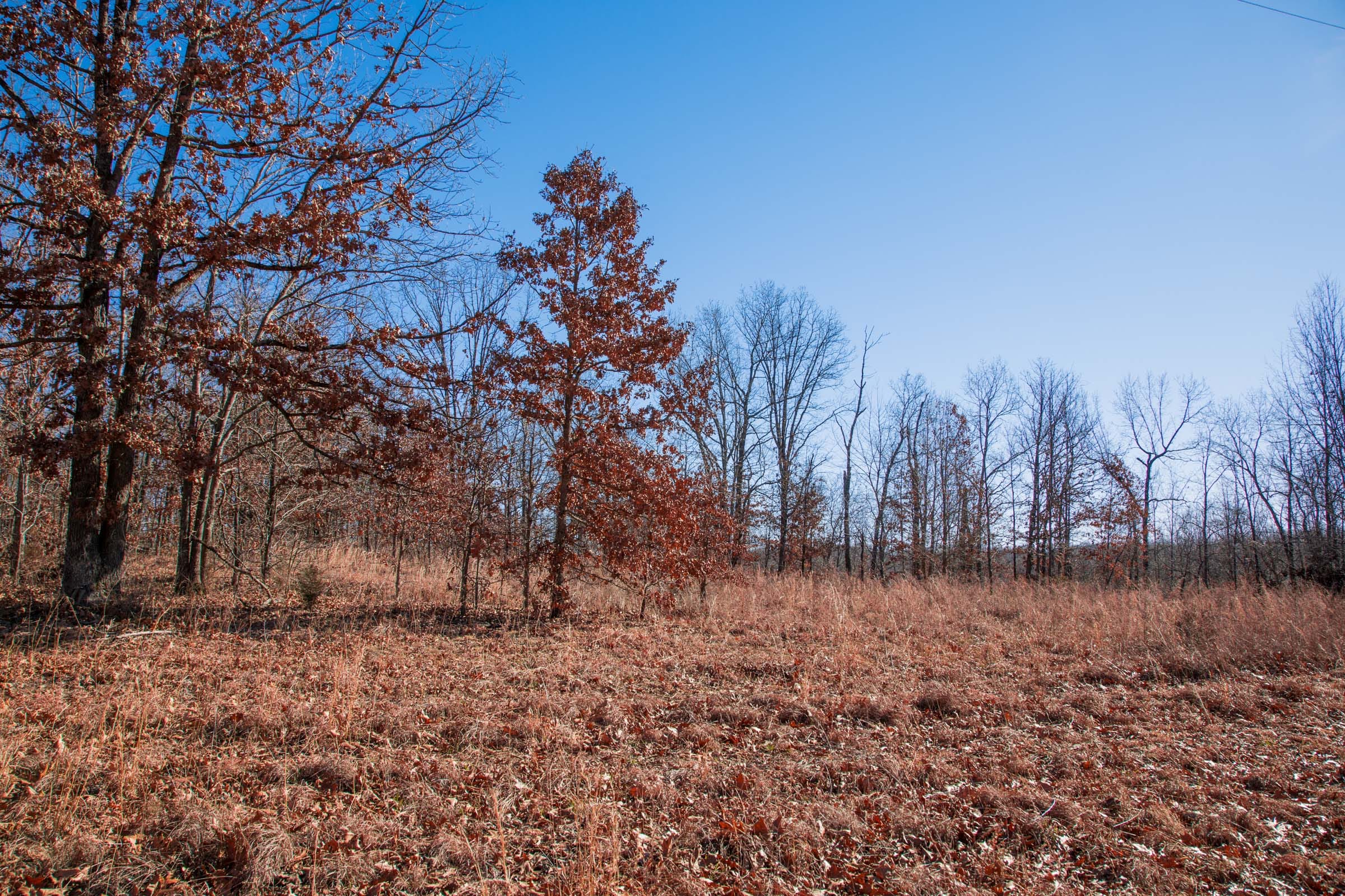 Buffalo Hills Tract 9 photo 5