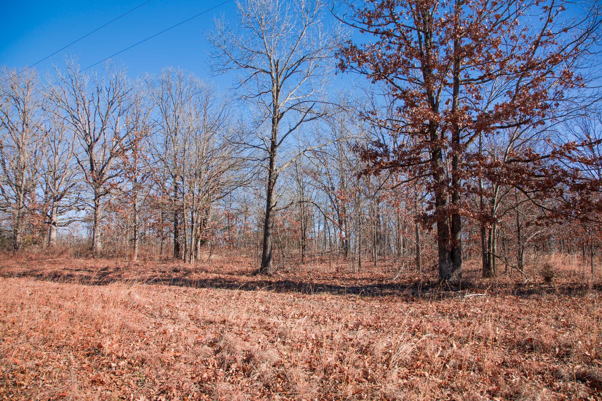 Buffalo Hills Tract 9 photo 6