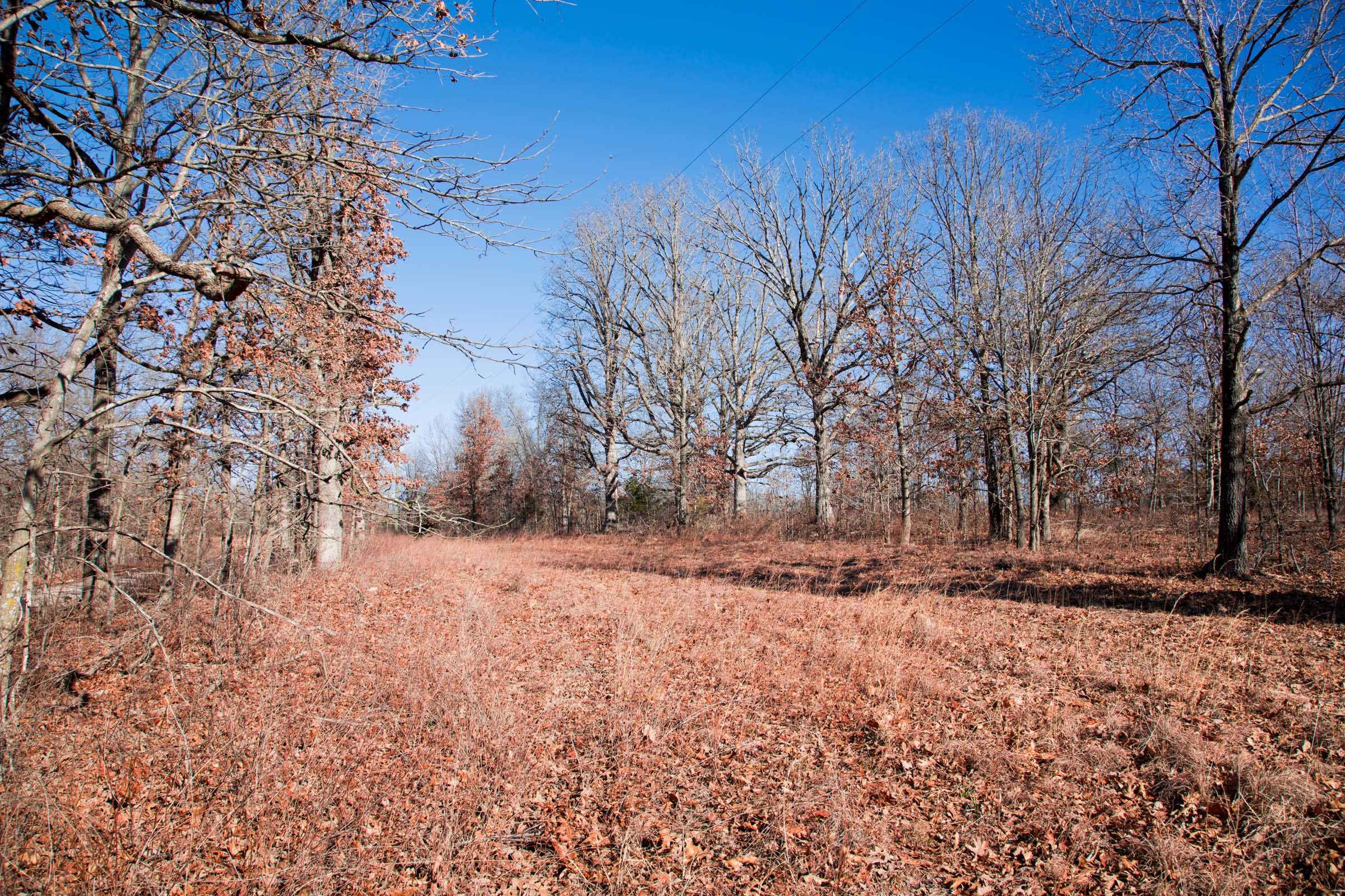 Buffalo Hills Tract 9 photo 7