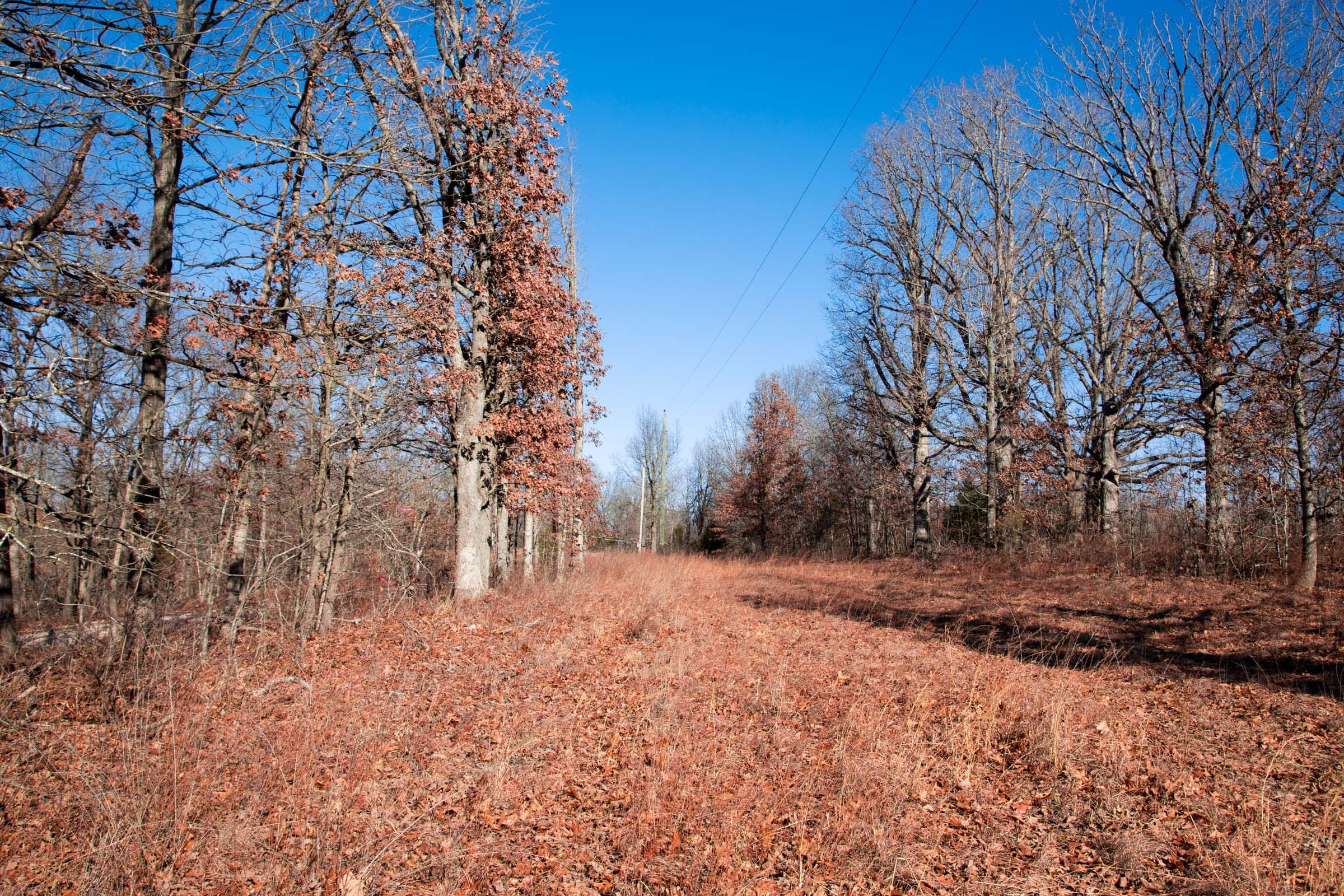 Buffalo Hills Tract 9 photo 8
