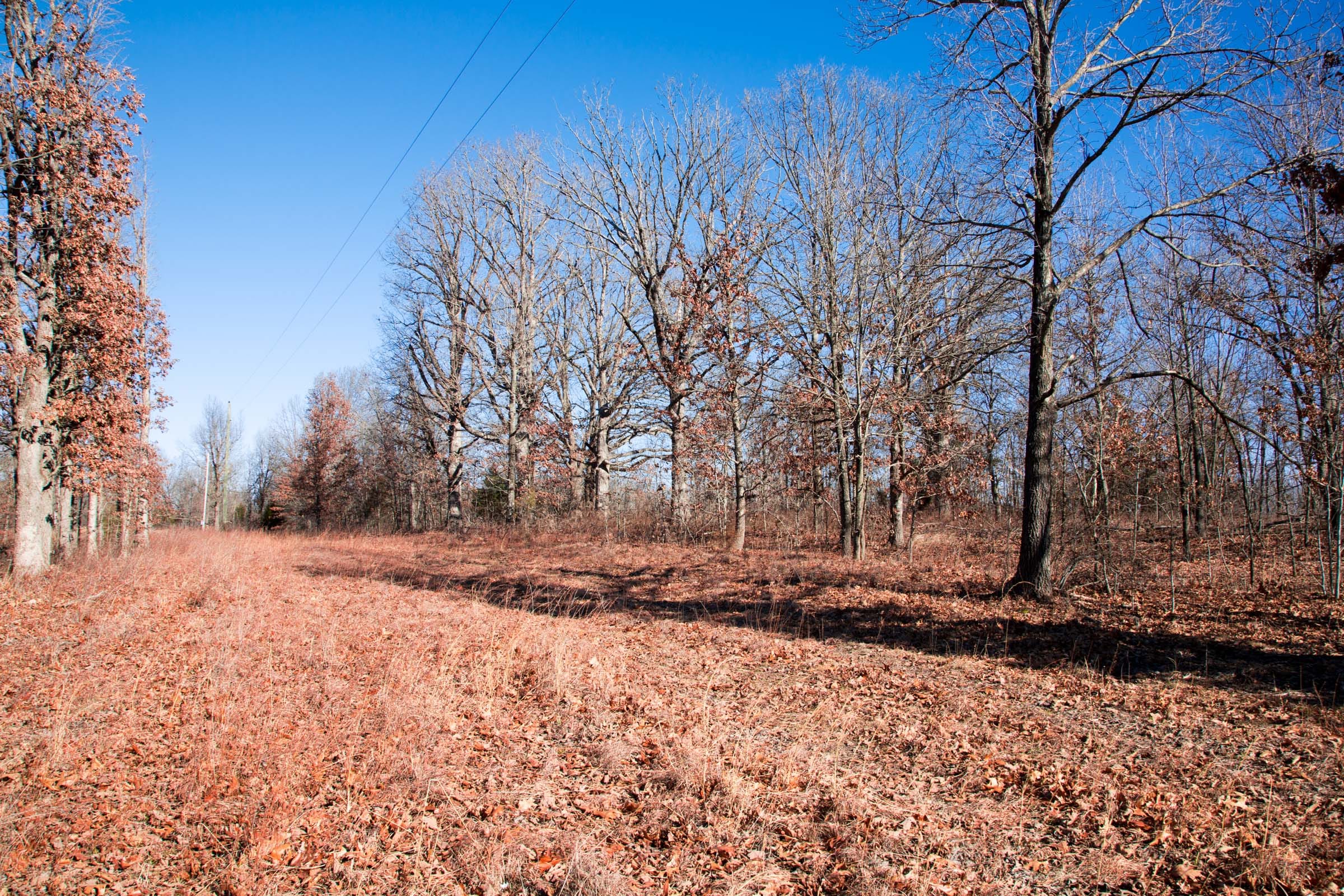 Buffalo Hills Tract 9 photo 9