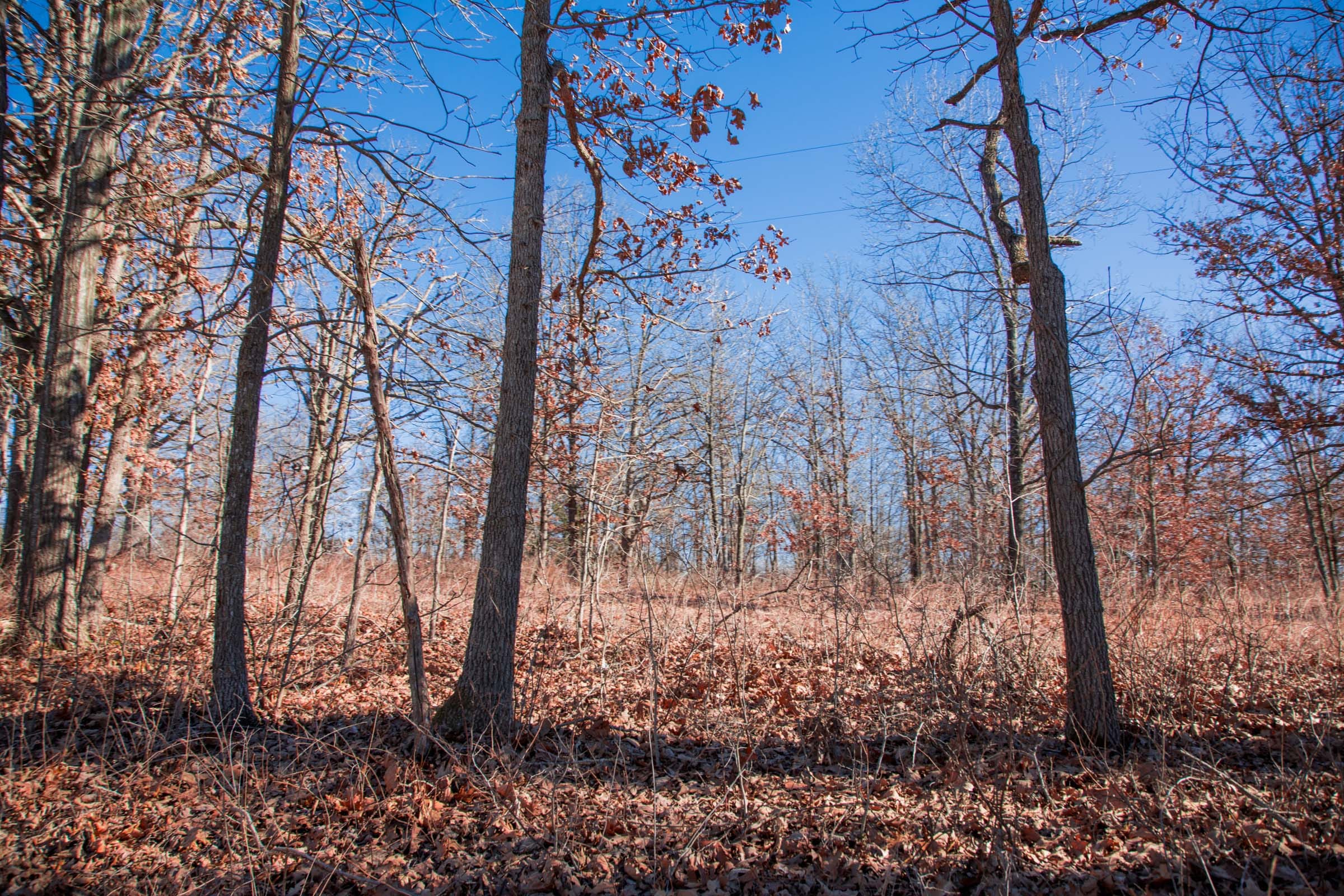 Buffalo Hills Tract 9 photo 10