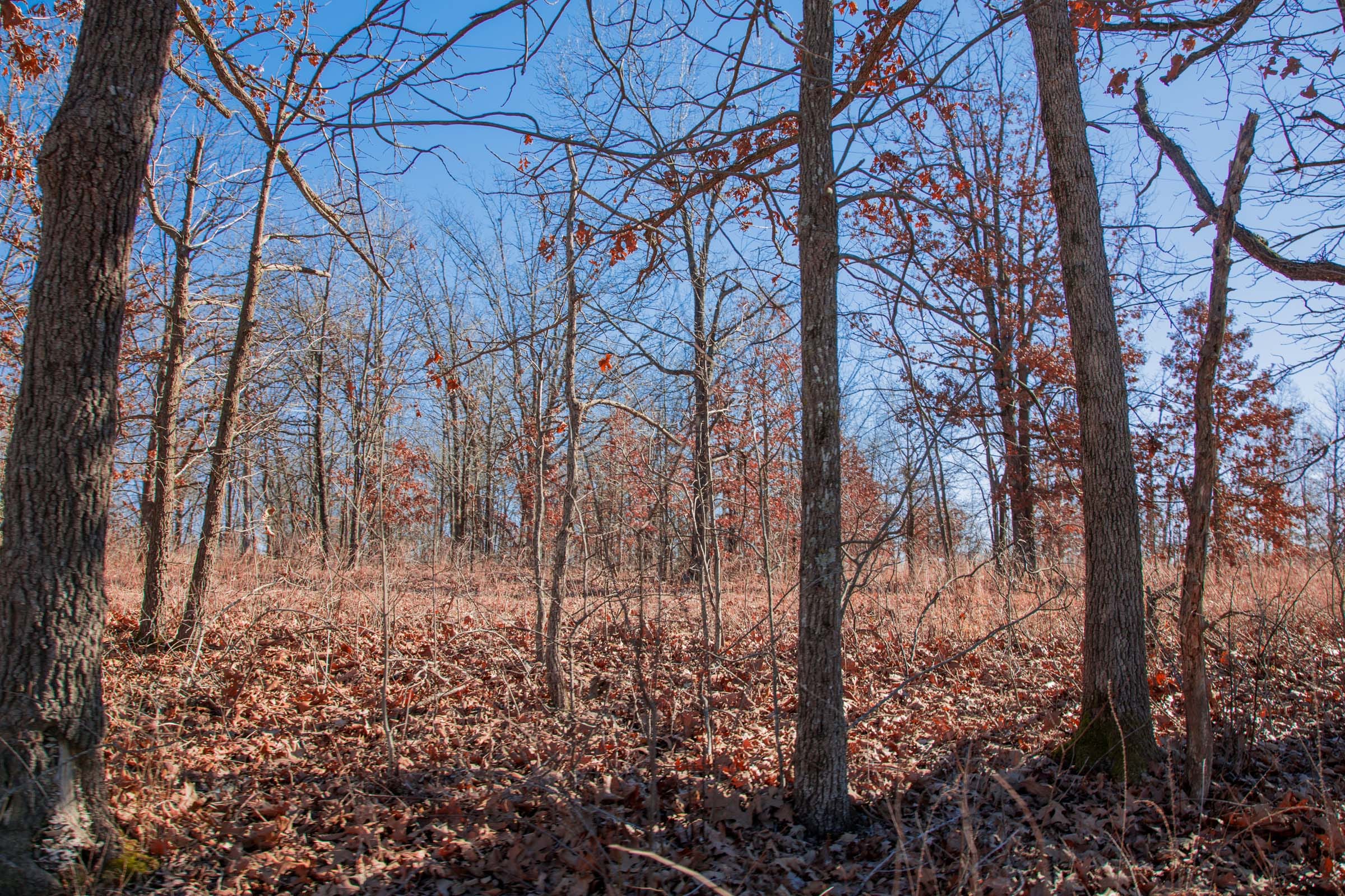 Buffalo Hills Tract 9 photo 13