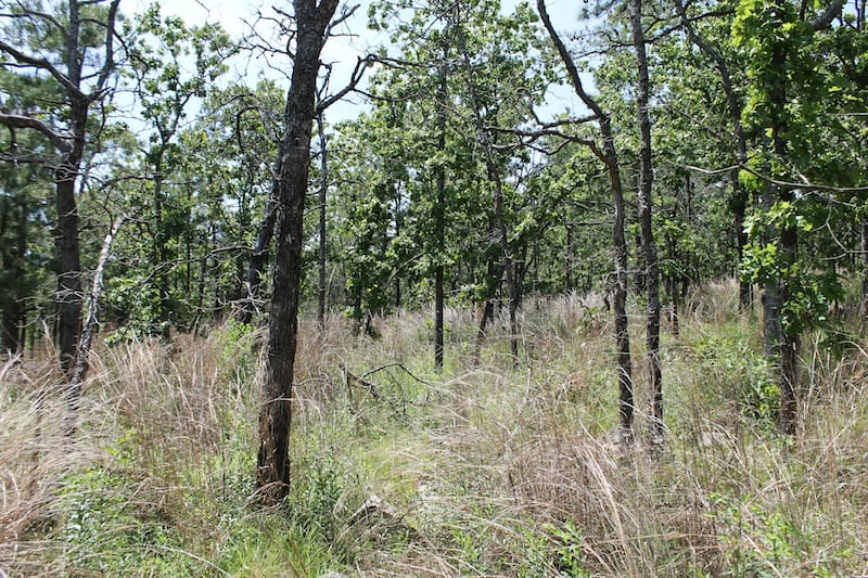 Indian Ridge – Phase II Tract 78 photo 1