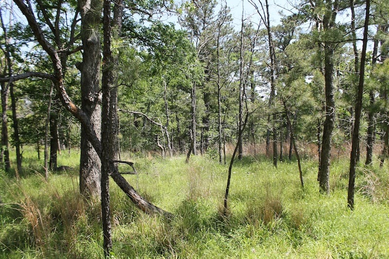 Indian Ridge – Phase II Tract 78 photo 4