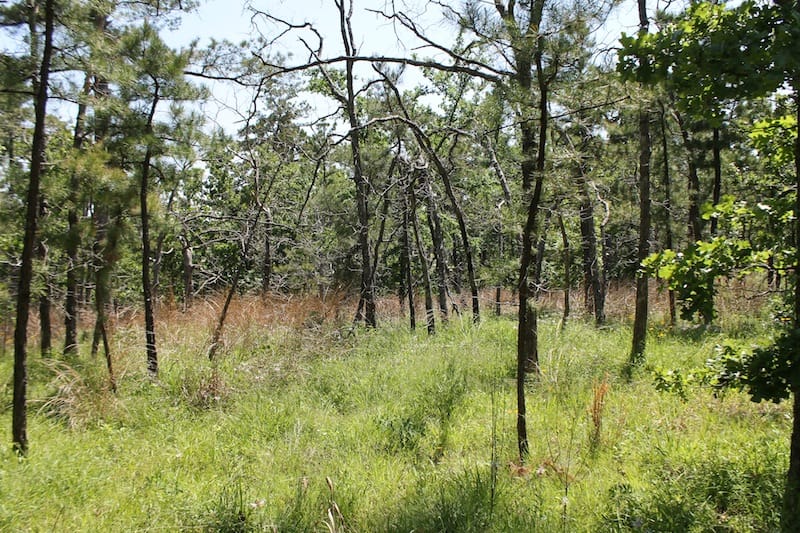 Indian Ridge – Phase II Tract 78 photo 5