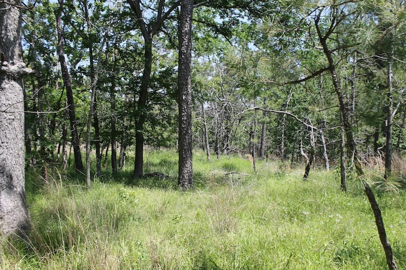 Indian Ridge – Phase II Tract 78 photo 6