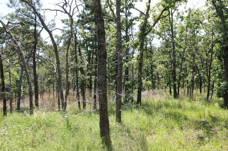 Indian Ridge – Phase II Tract 78 photo 9