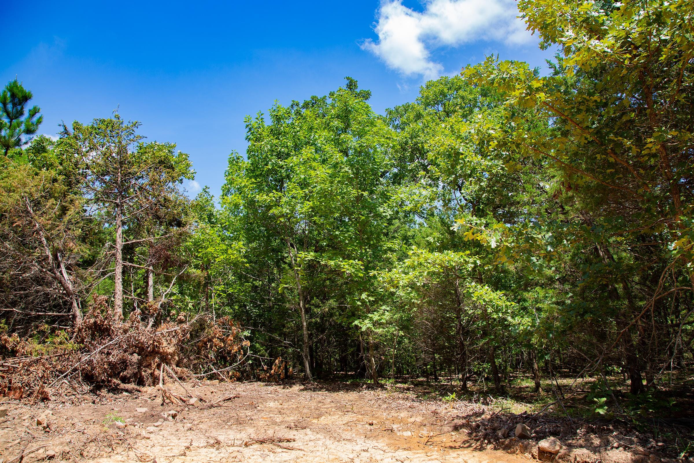 Tyler Stone Ranch Tract 77 photo 4