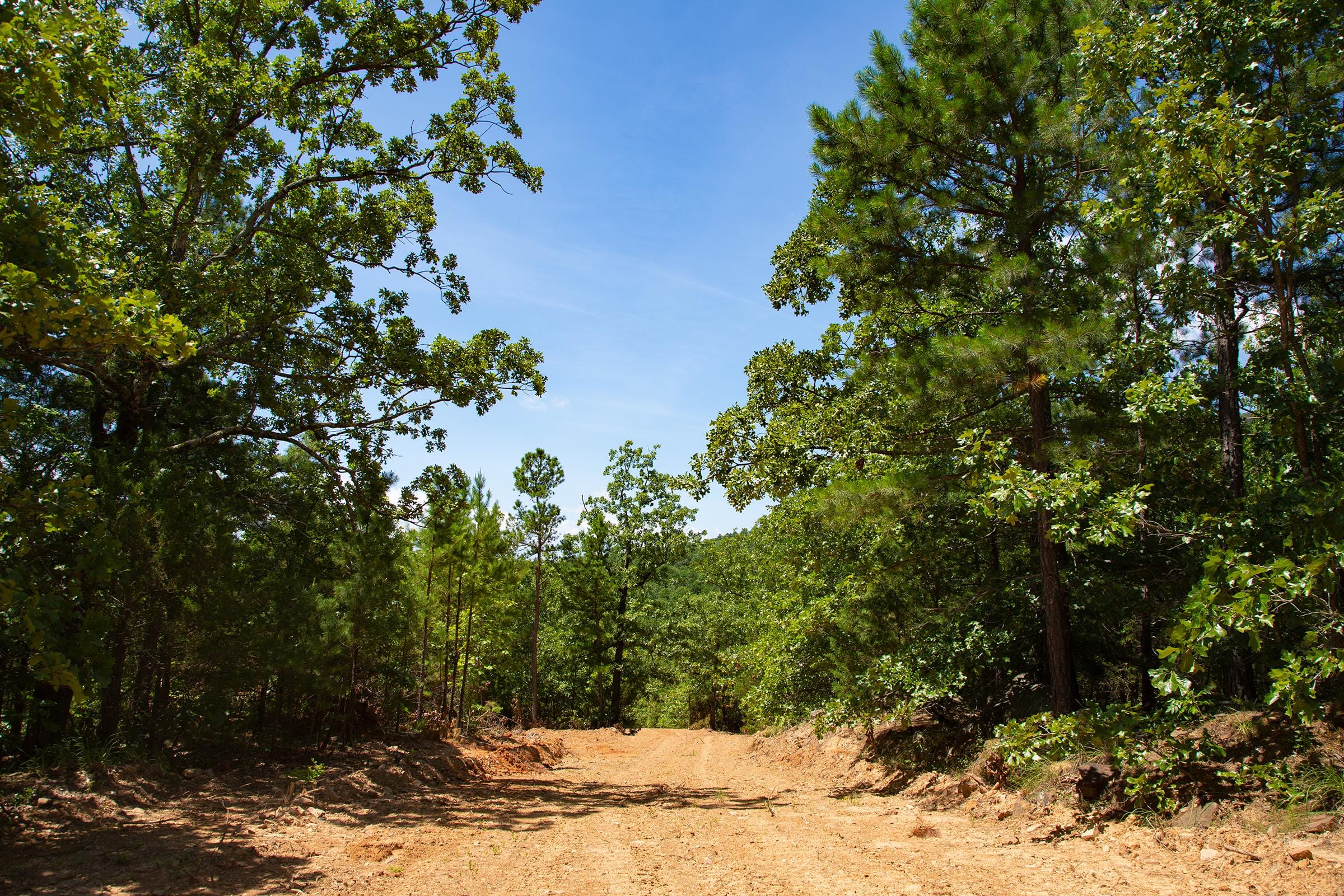 Tyler Stone Ranch Tract 77 photo 5