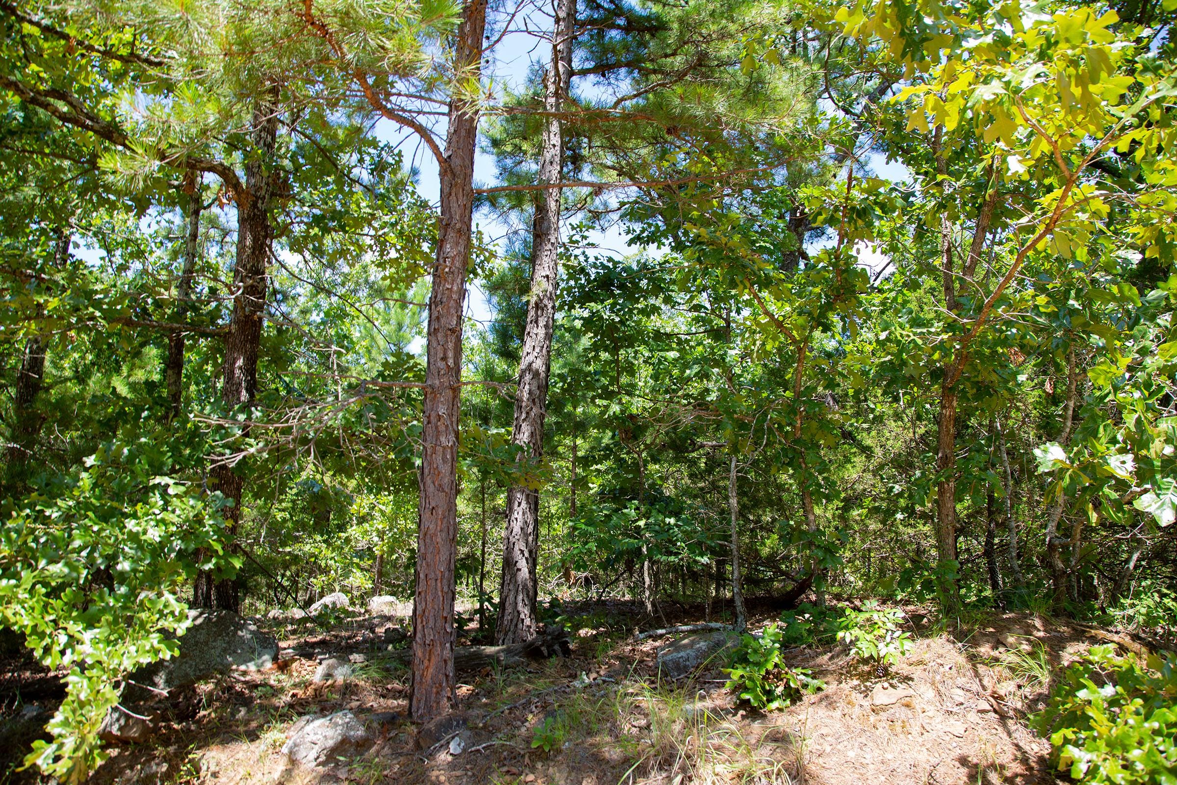 Tyler Stone Ranch Tract 77 photo 1