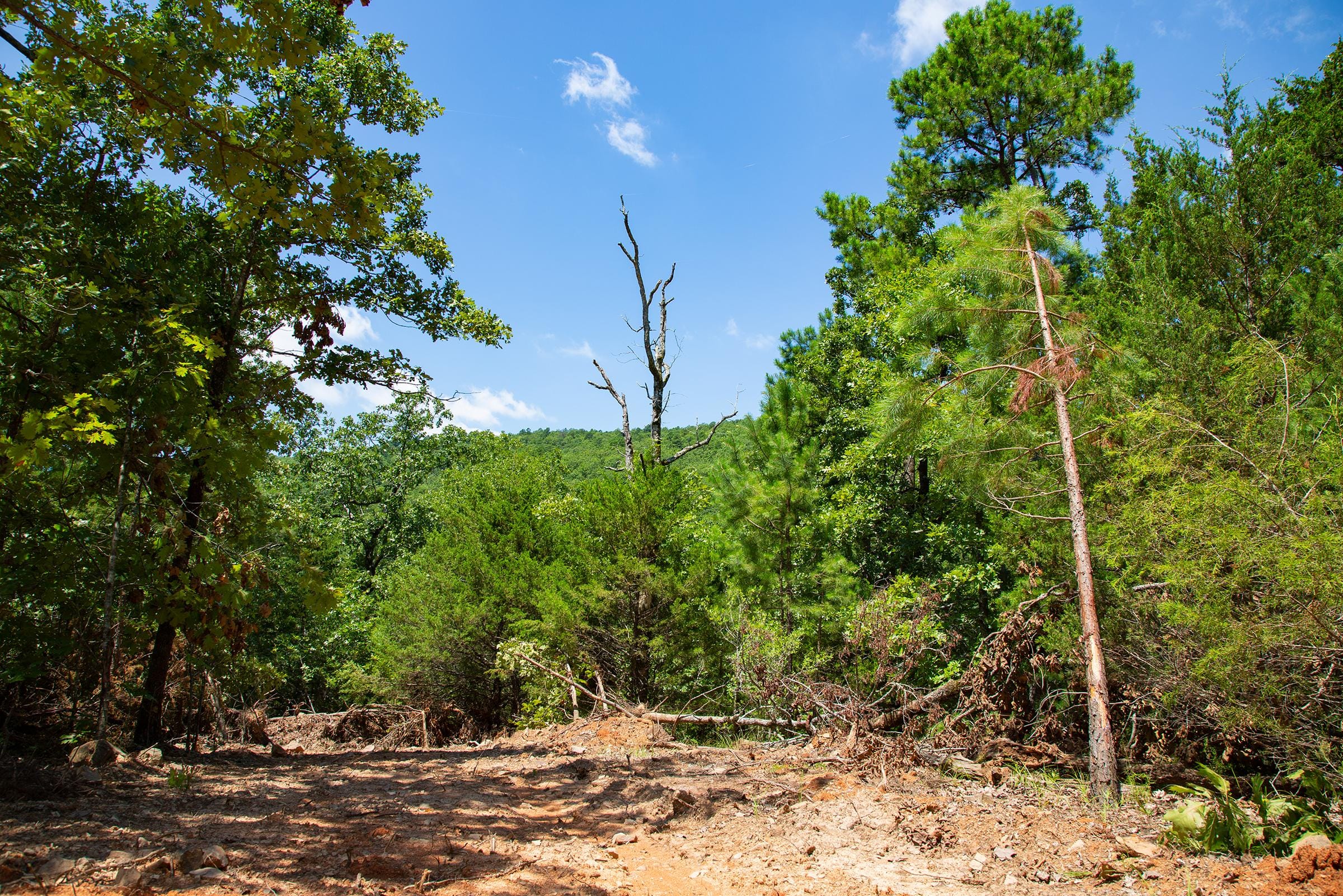 Tyler Stone Ranch Tract 77 photo 7