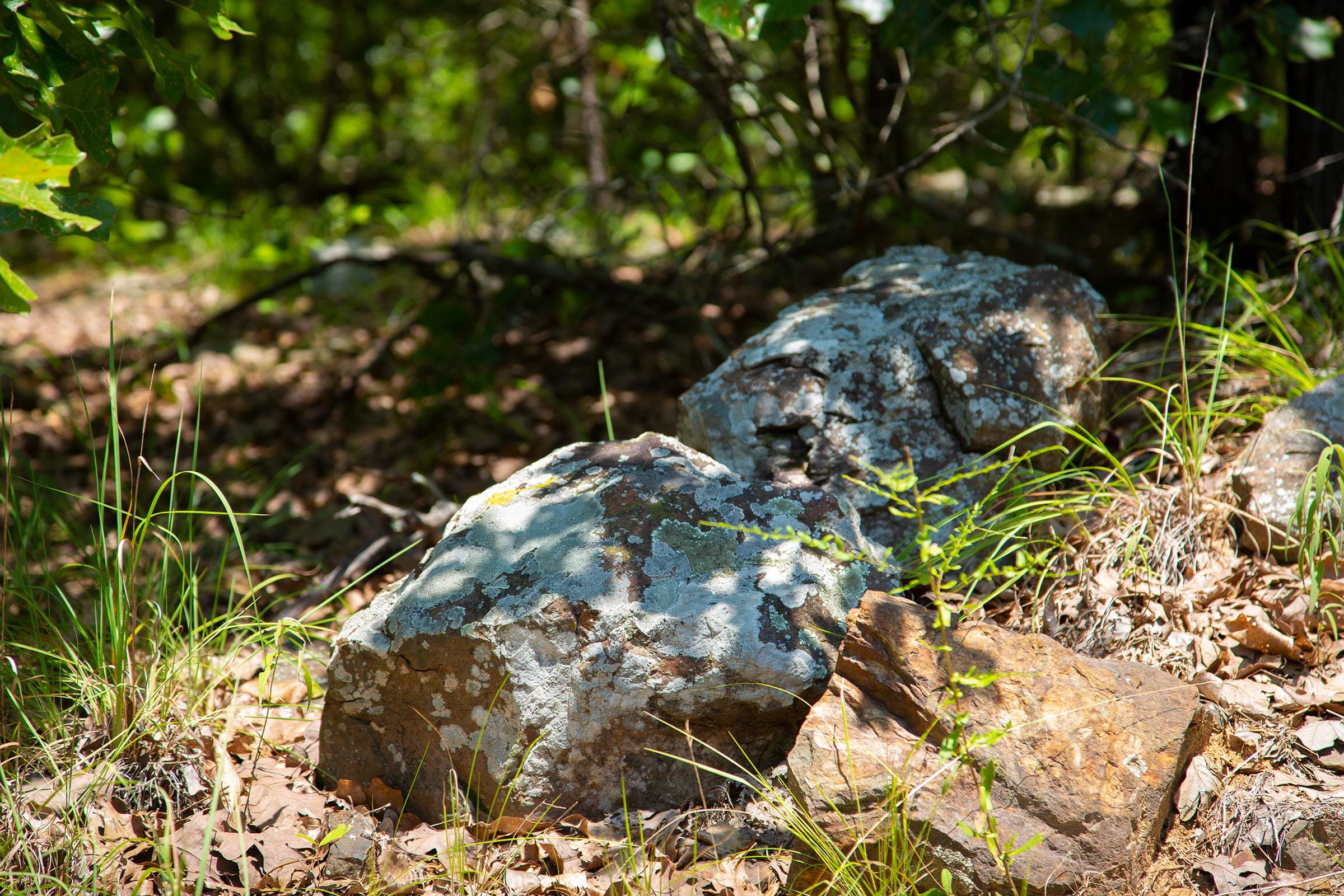 Tyler Stone Ranch Tract 77 photo 11