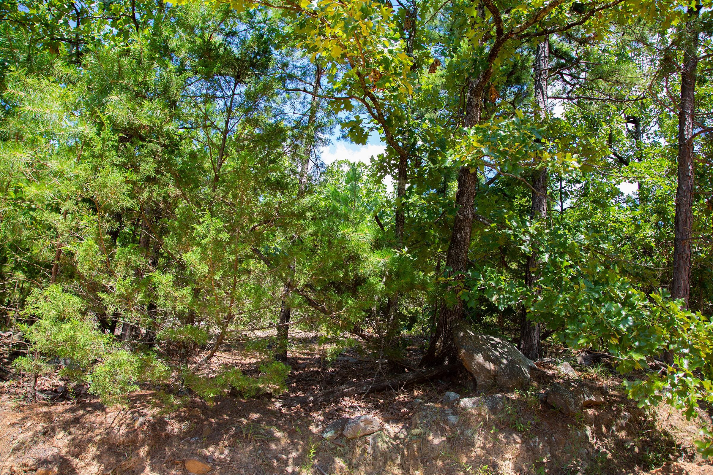 Tyler Stone Ranch Tract 77 photo 12