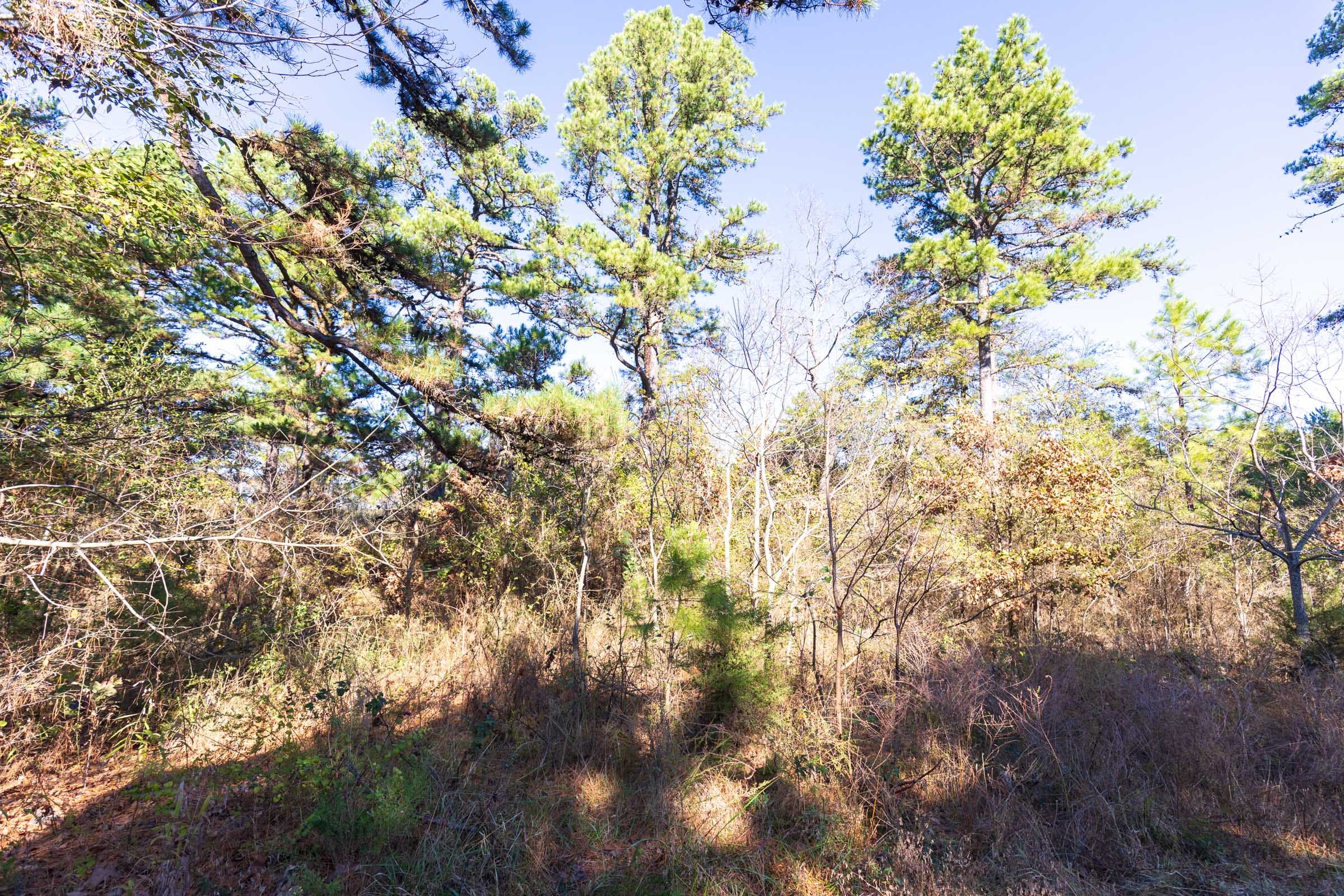 Stone Bridge Reserve Tract 1 photo 8