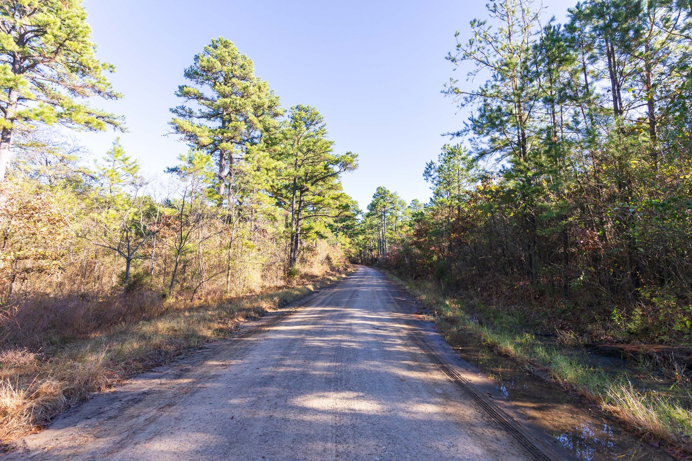 Stone Bridge Reserve Tract 1 photo 9