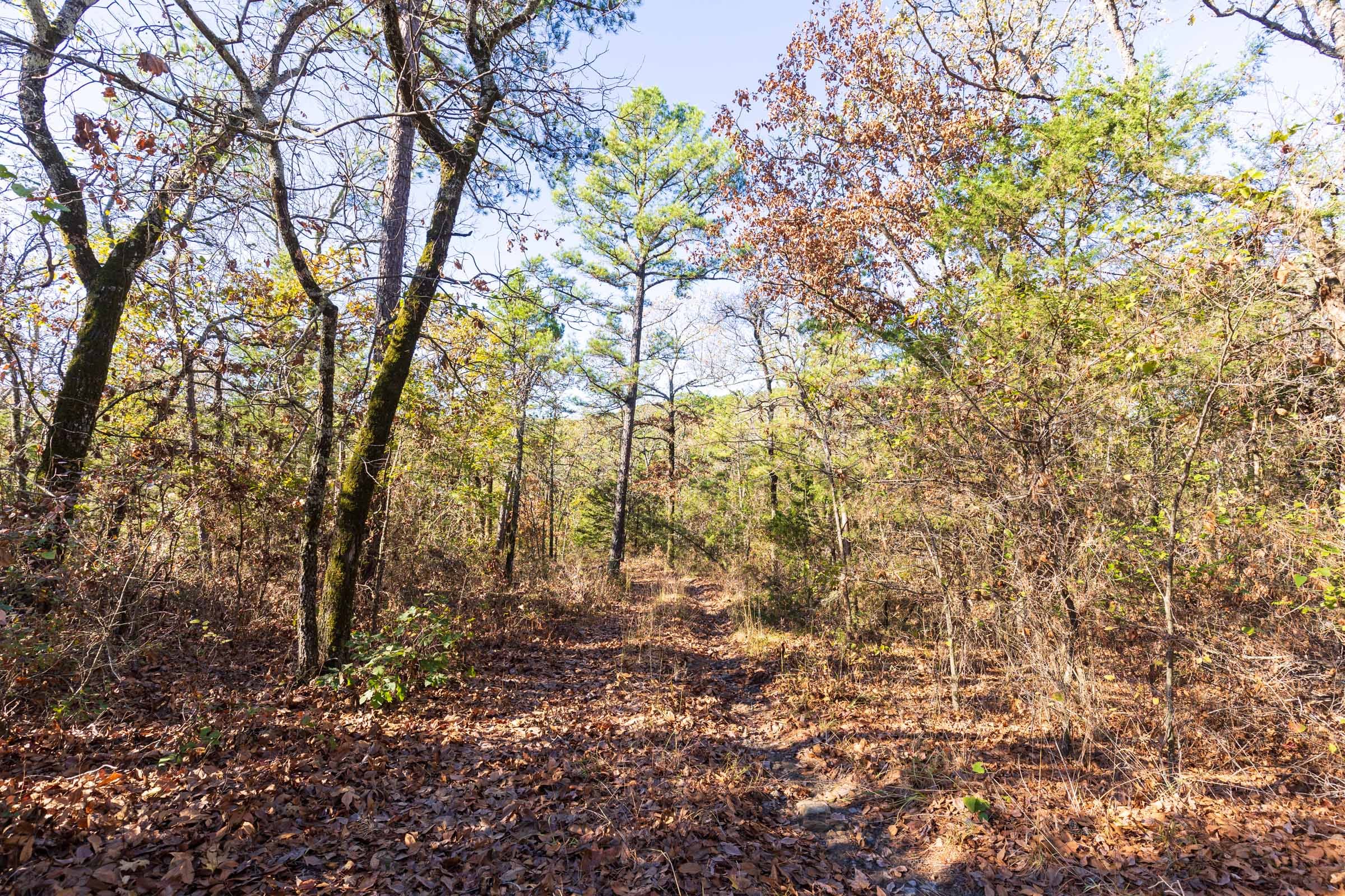 Stone Bridge Reserve Tract 1 photo 10
